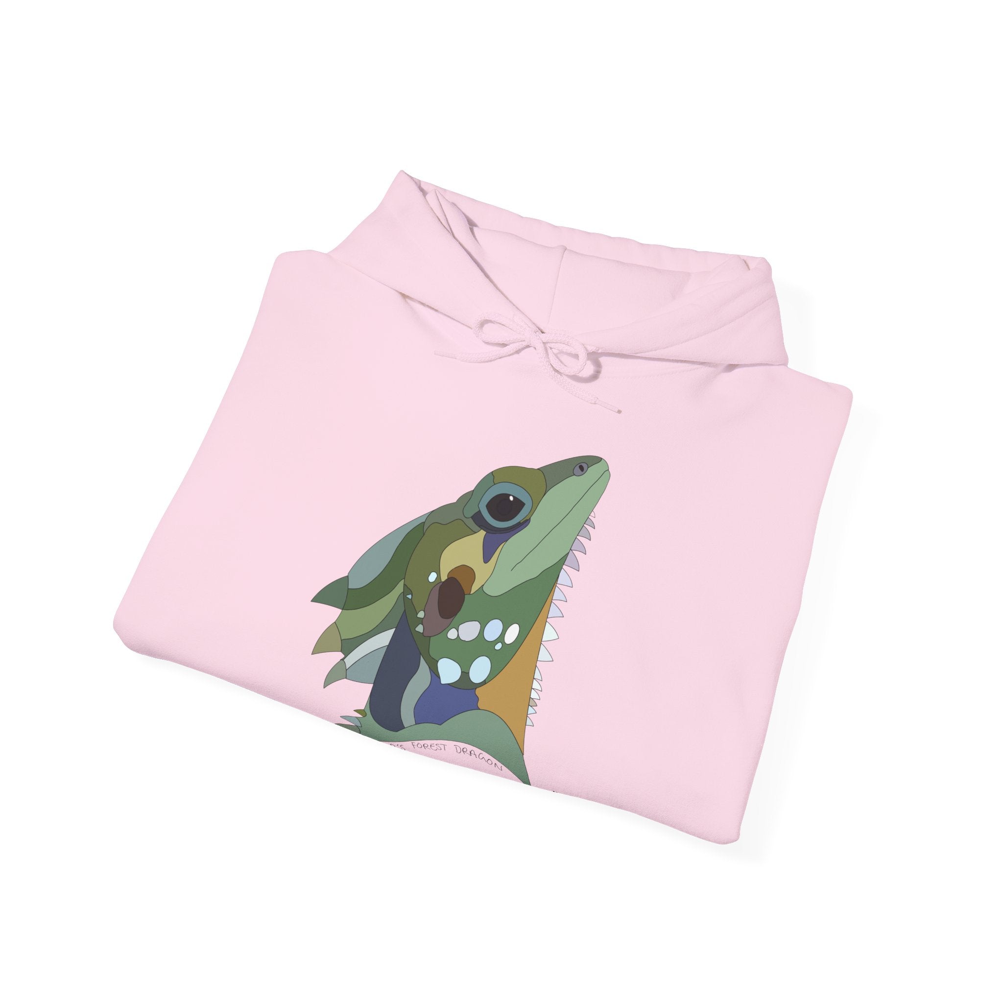 Boyd's Forest Dragon | Unisex Heavy Blend™ Hooded Sweatshirt Printify
