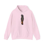 Red-tailed Black Cockatoo | Unisex Heavy Blend™ Hooded Sweatshirt