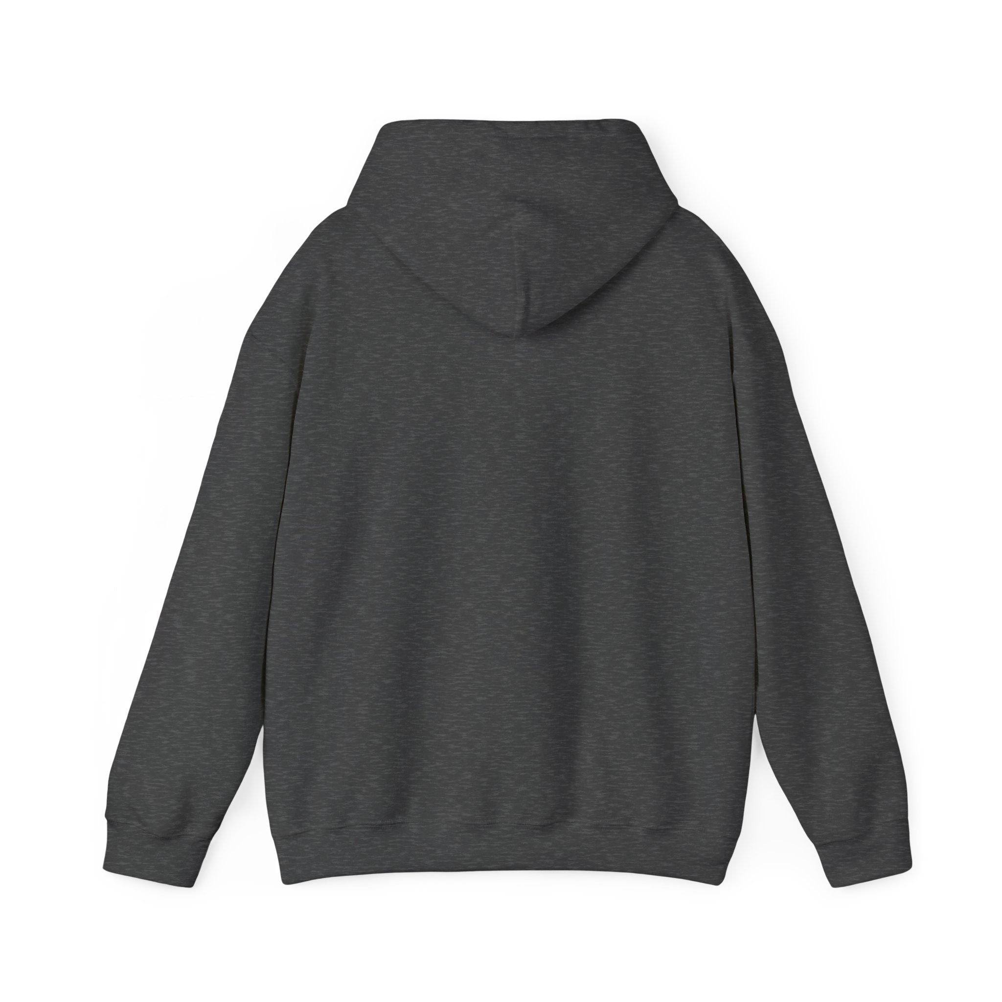 Southern Cassowary | Unisex Heavy Blend™ Hooded Sweatshirt Printify