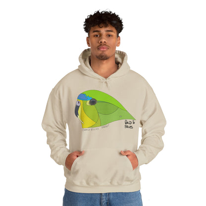 Orange-bellied Parrot | Unisex Heavy Blend™ Hooded Sweatshirt