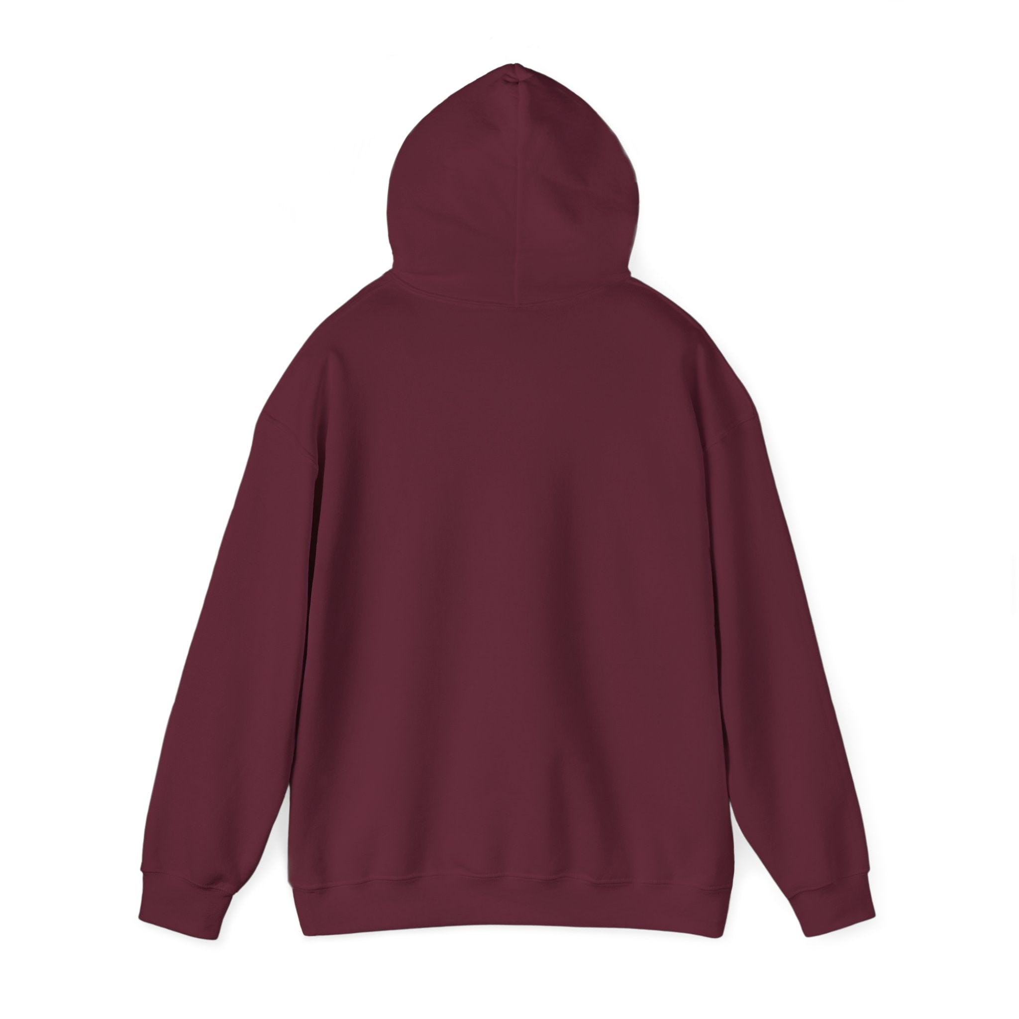 "A Hoodie Hoodie" | Hooded Plover | Unisex Heavy Blend™ Hooded Sweatshirt Printify