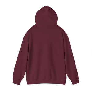 "A Hoodie Hoodie" | Hooded Plover | Unisex Heavy Blend™ Hooded Sweatshirt Printify