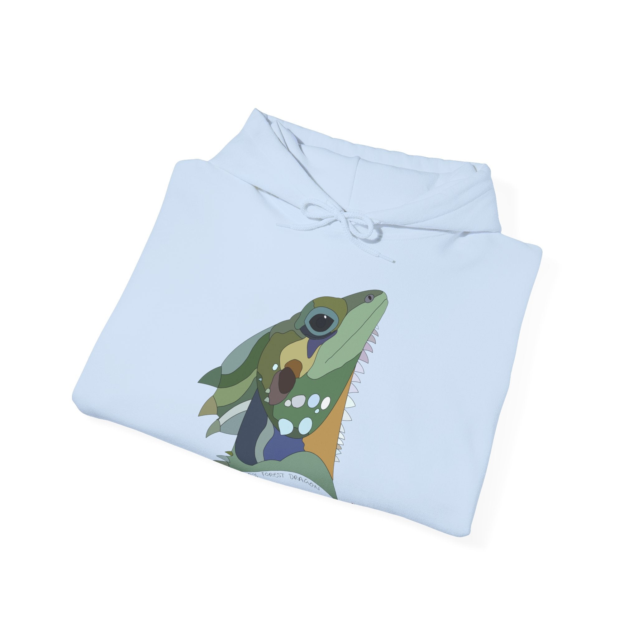 Boyd's Forest Dragon | Unisex Heavy Blend™ Hooded Sweatshirt Printify