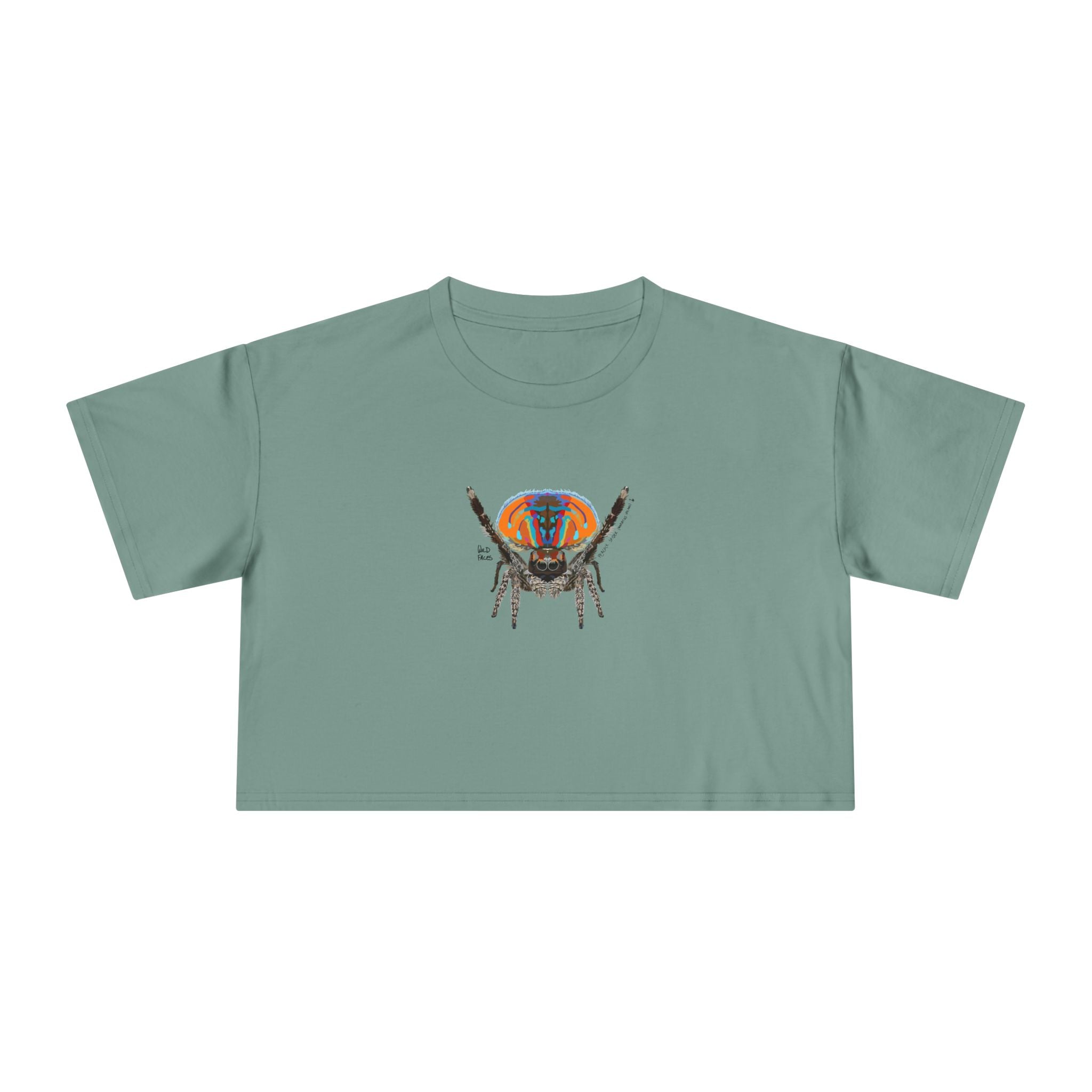 Peacock Spider (Maratus Volans) - Women's Crop Tee