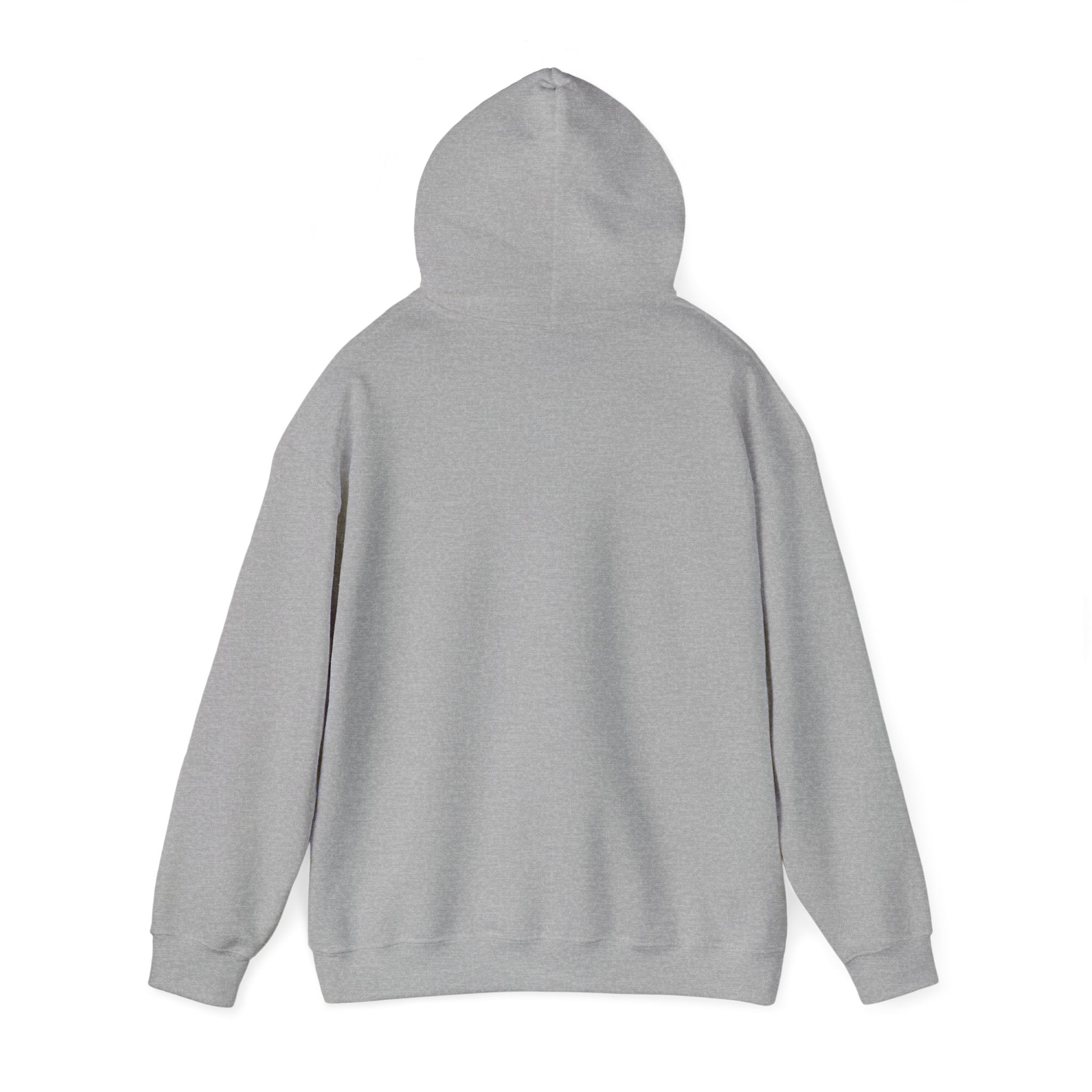 "A Hoodie Hoodie" | Hooded Plover | Unisex Heavy Blend™ Hooded Sweatshirt Printify