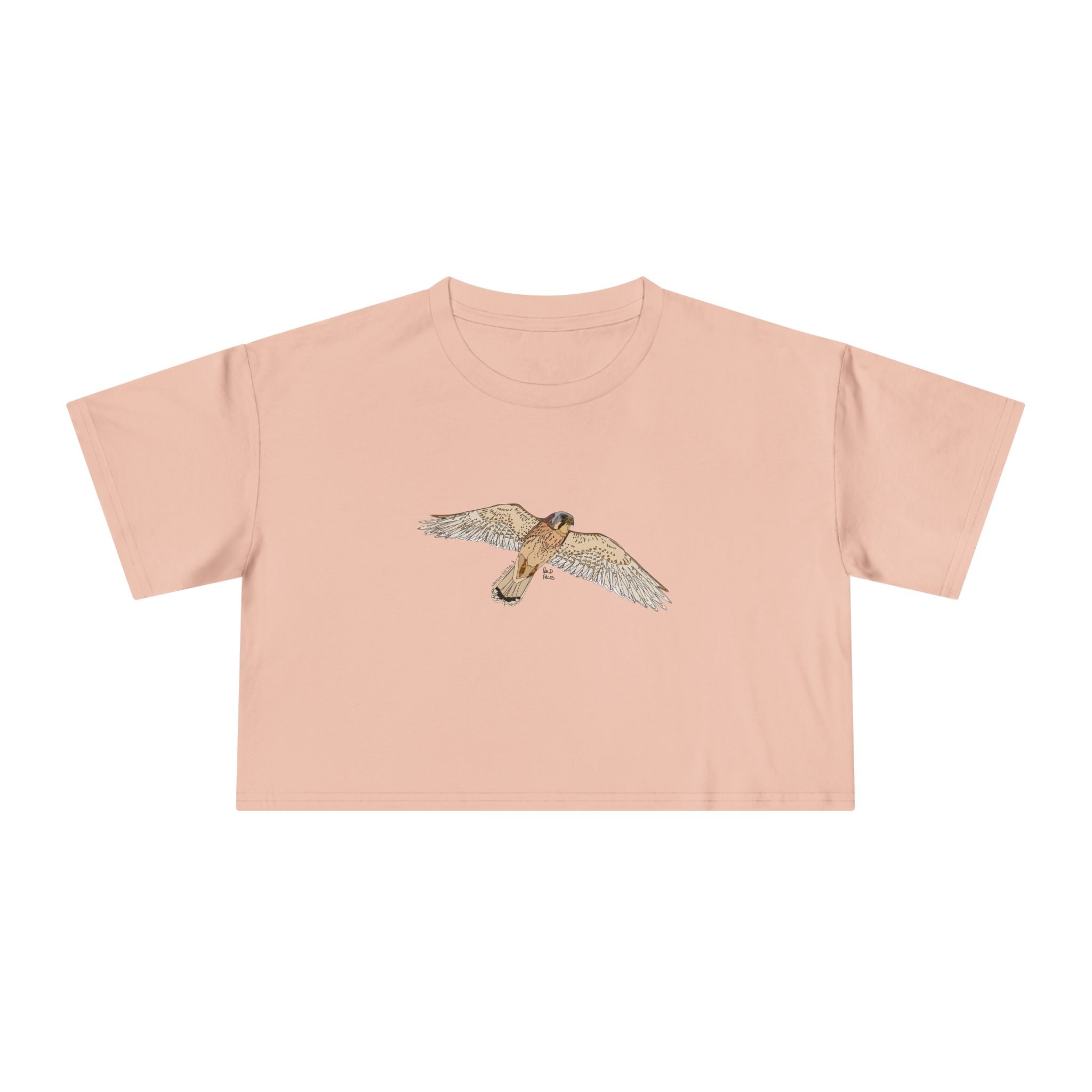 Nankeen Kestrel - Women's Crop Tee