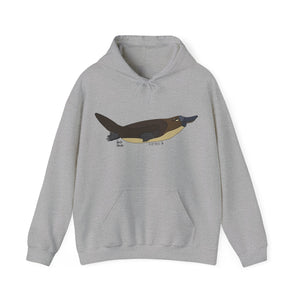 Platypus | Unisex Heavy Blend™ Hooded Sweatshirt Printify