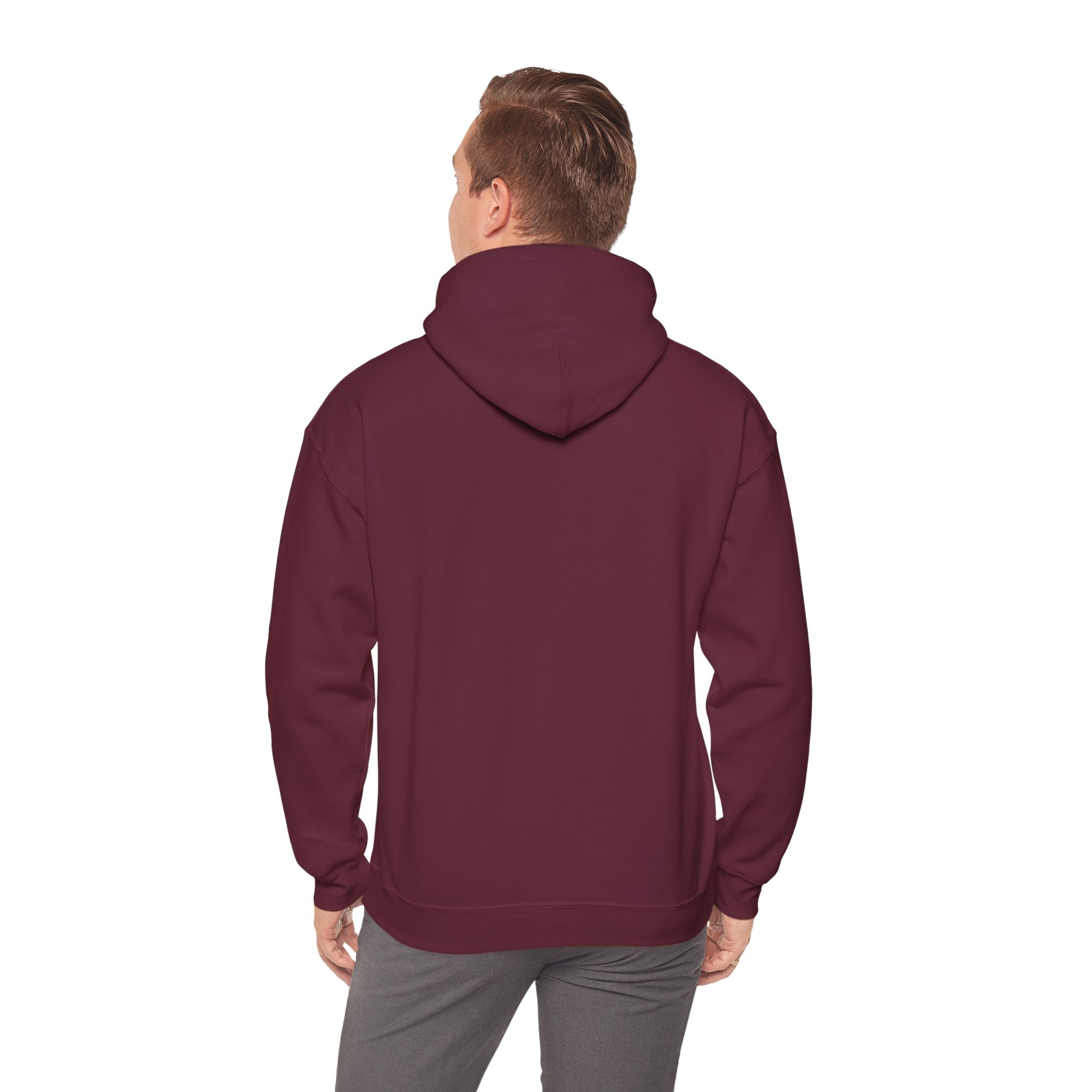 "A Hoodie Hoodie" | Hooded Plover | Unisex Heavy Blend™ Hooded Sweatshirt Printify