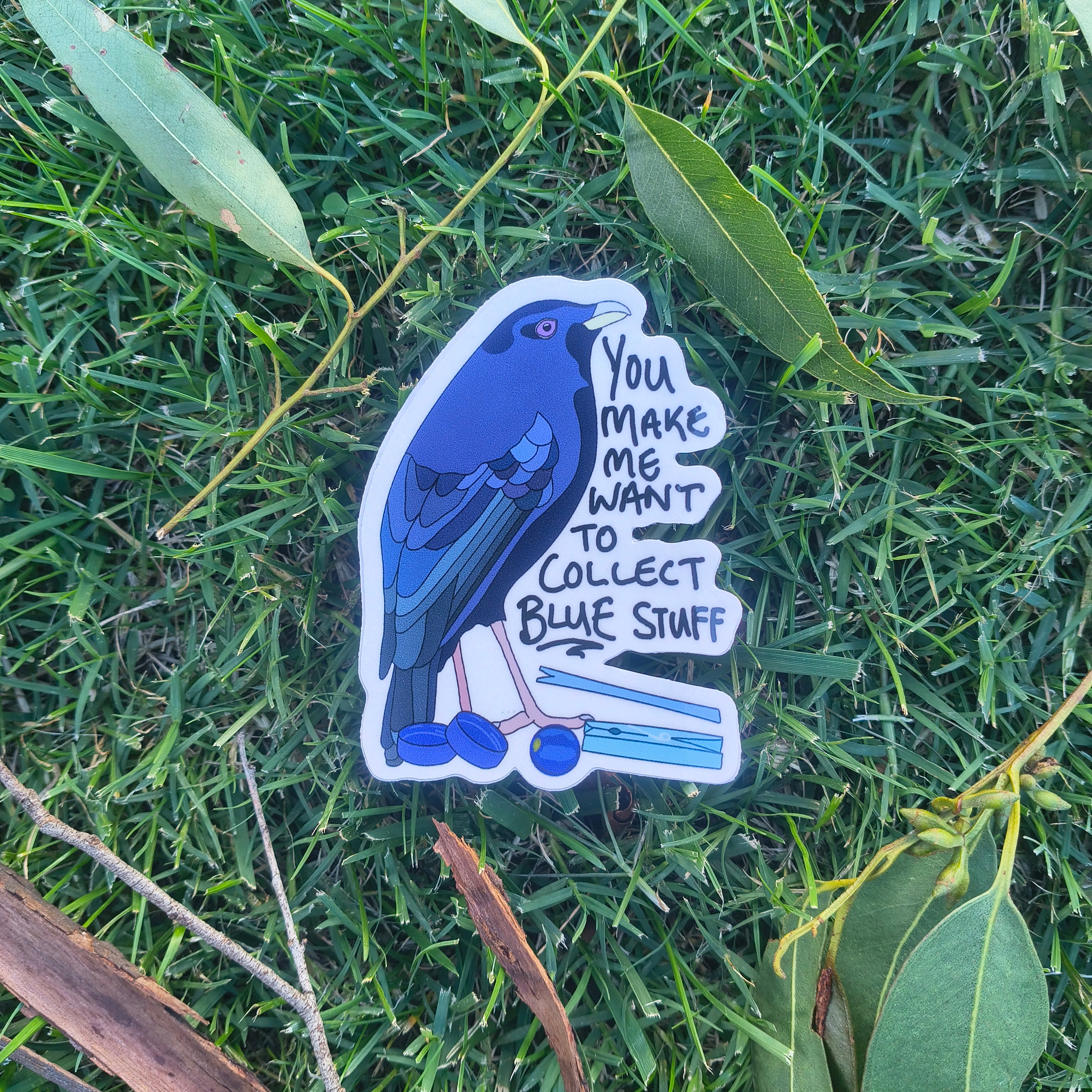 Satin Bowerbird sticker - "You make me want to collect blue stuff"