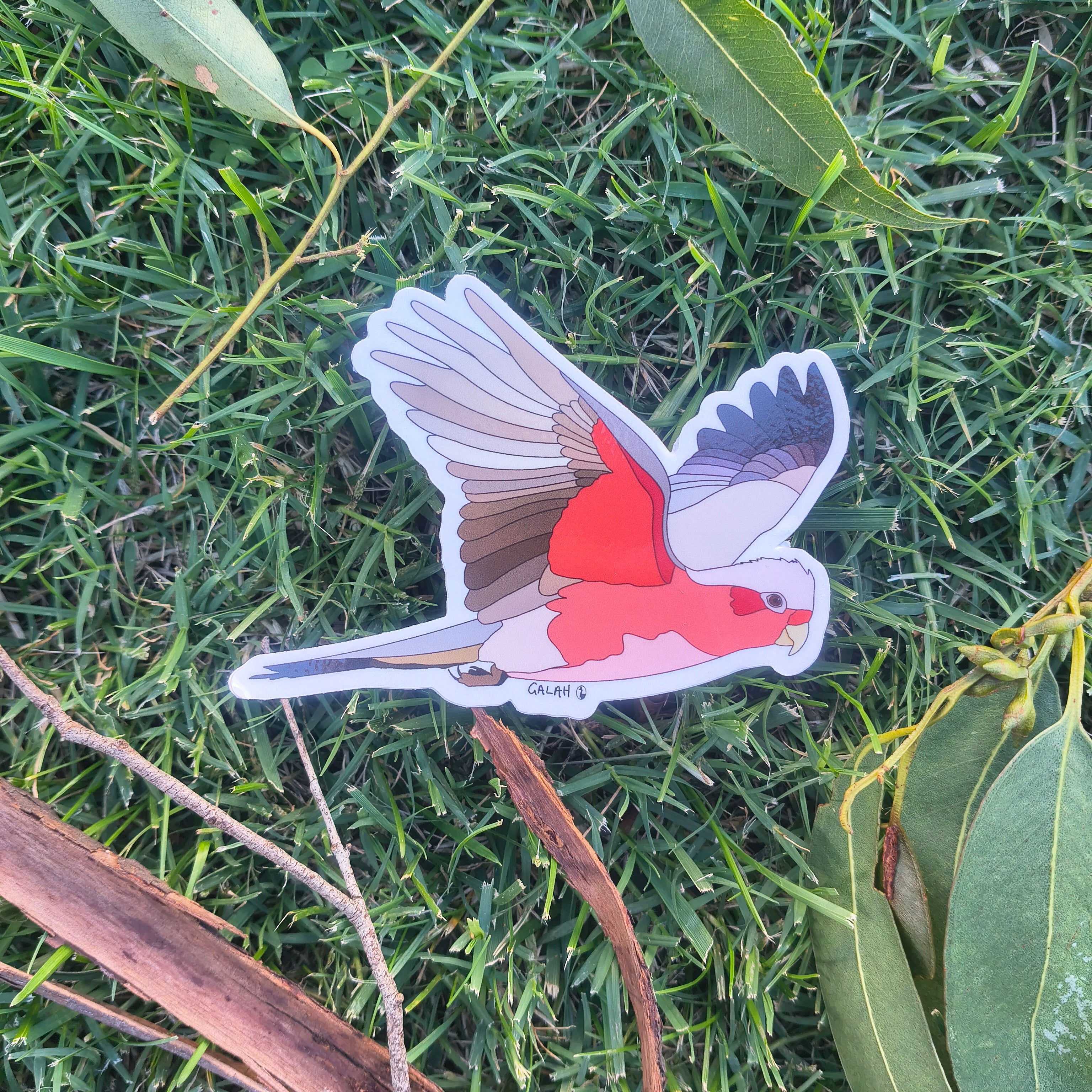 Galah sticker