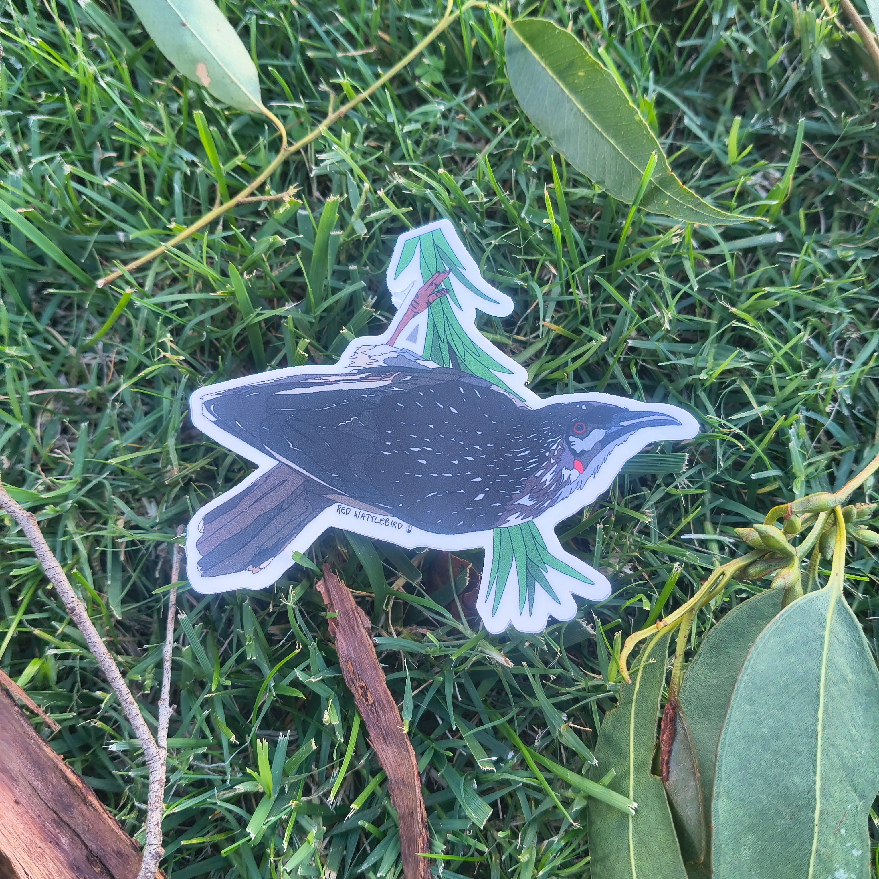 Red Wattlebird sticker