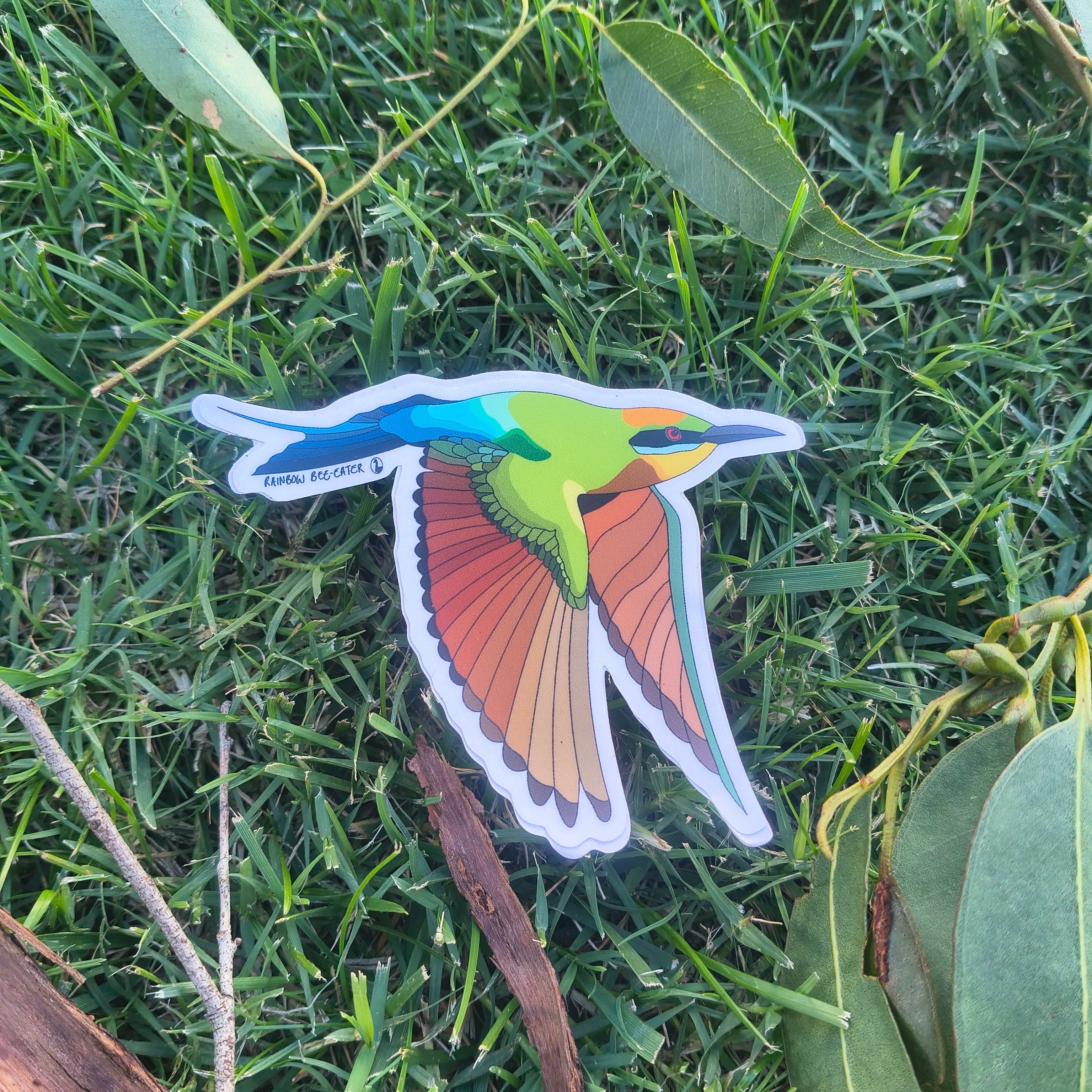 Rainbow Bee-eater (in flight) sticker