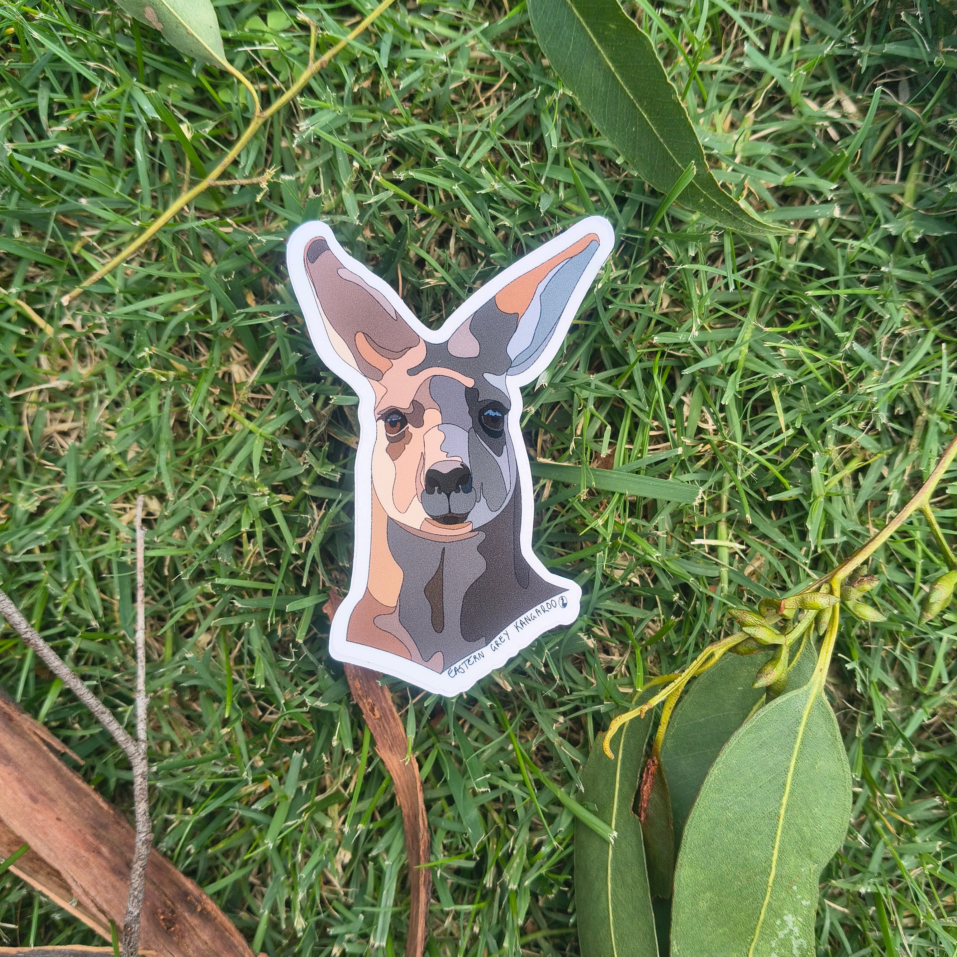 Eastern Grey Kangaroo sticker