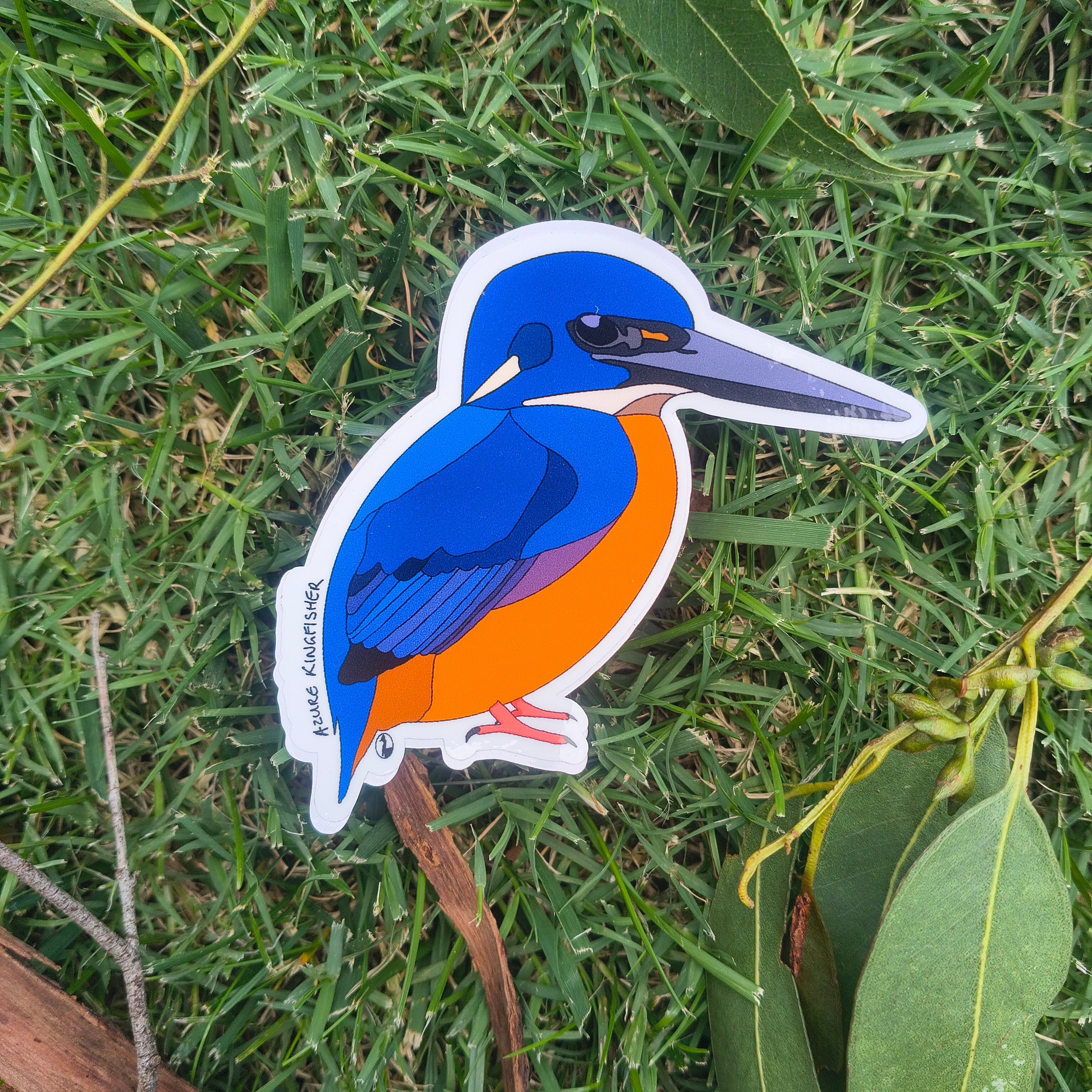 Azure Kingfisher sticker