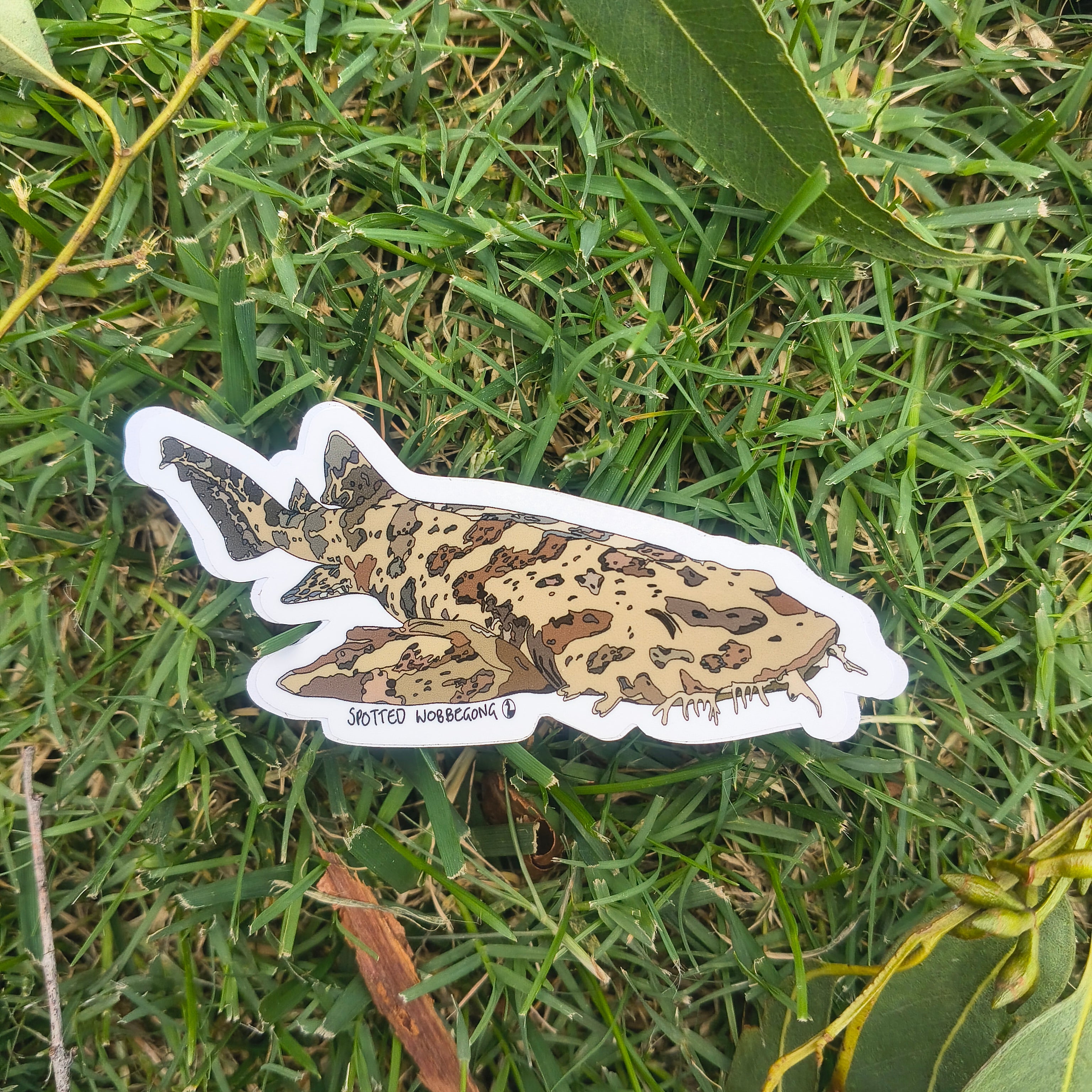 Spotted Wobbegong sticker