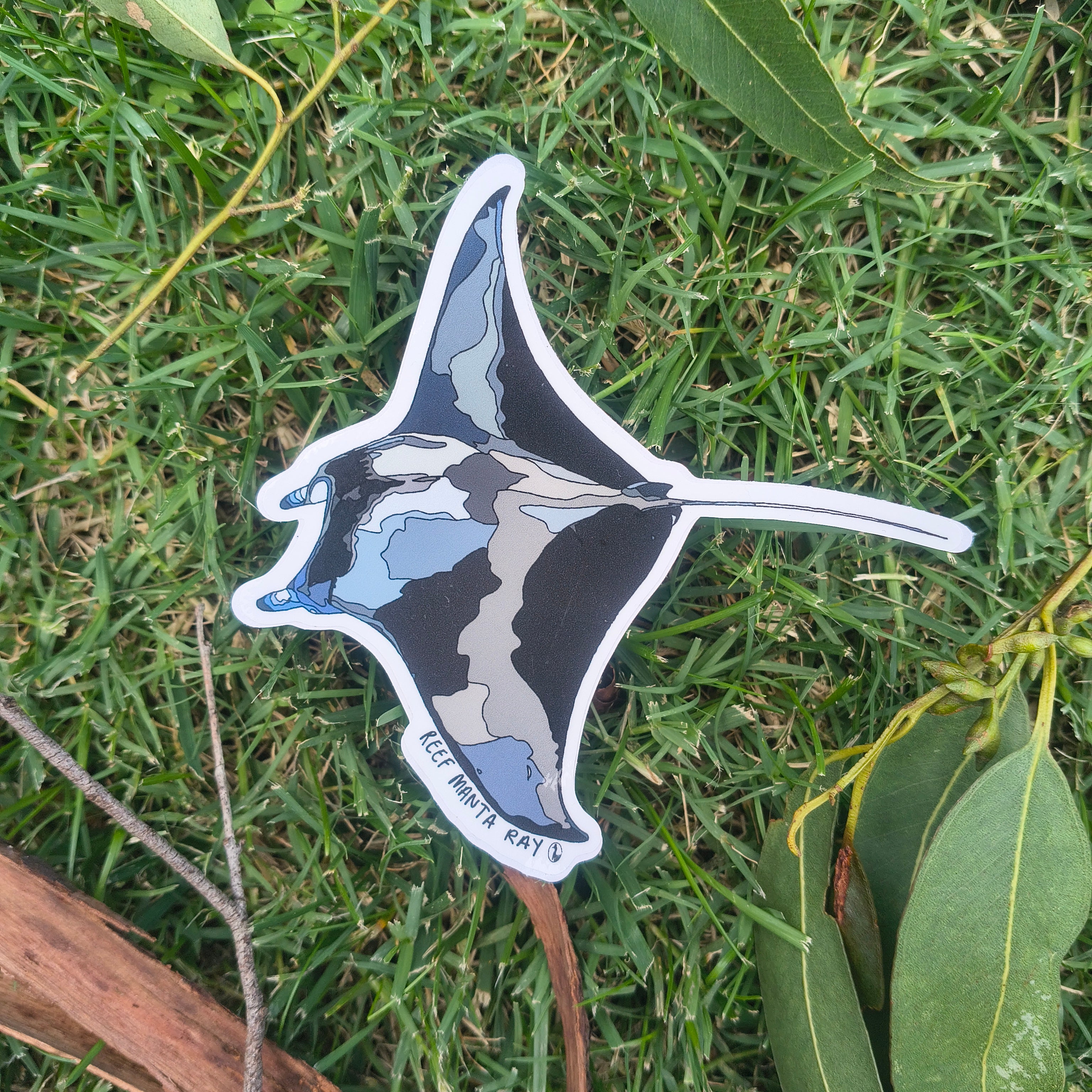Reef Manta Ray sticker