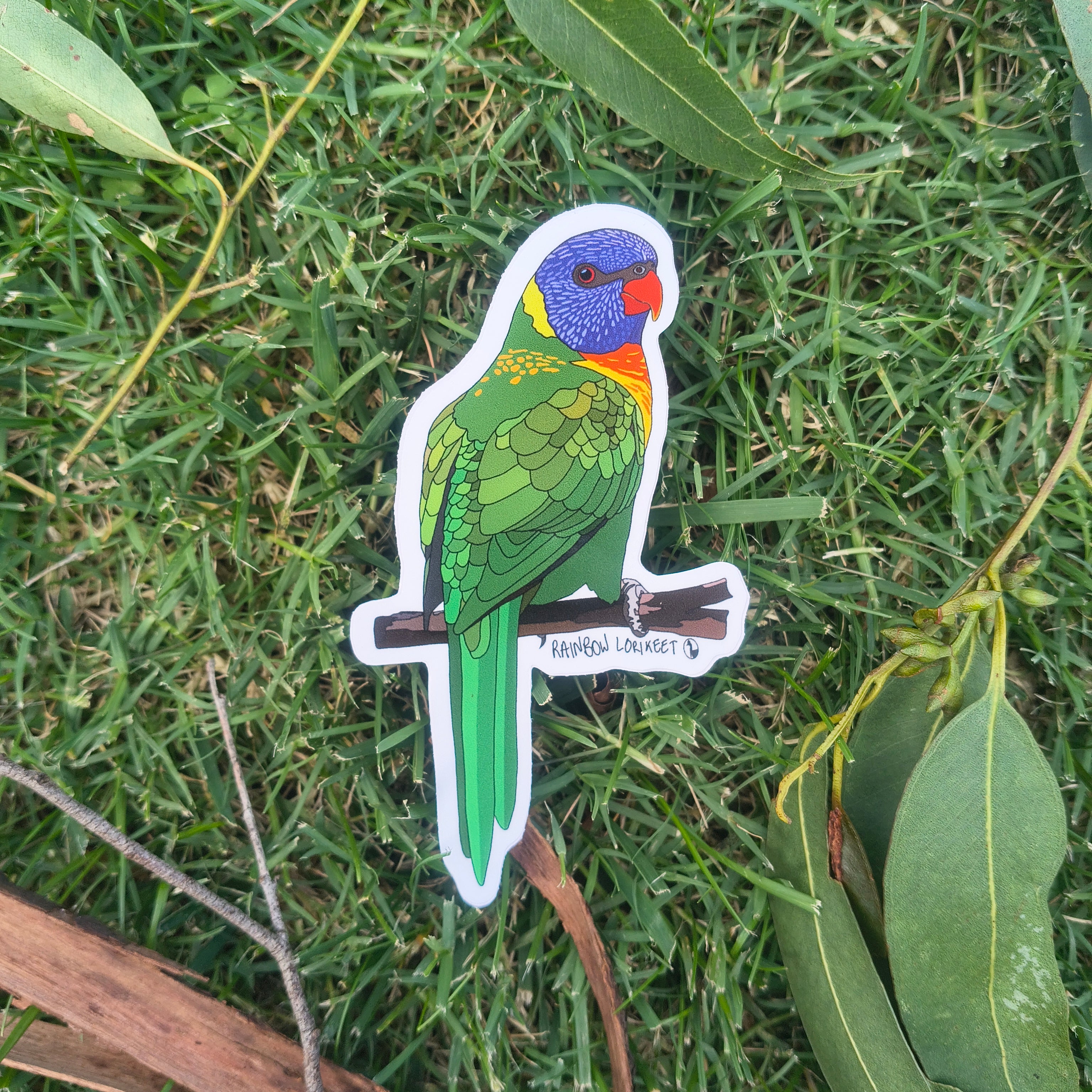 Rainbow Lorikeet sticker