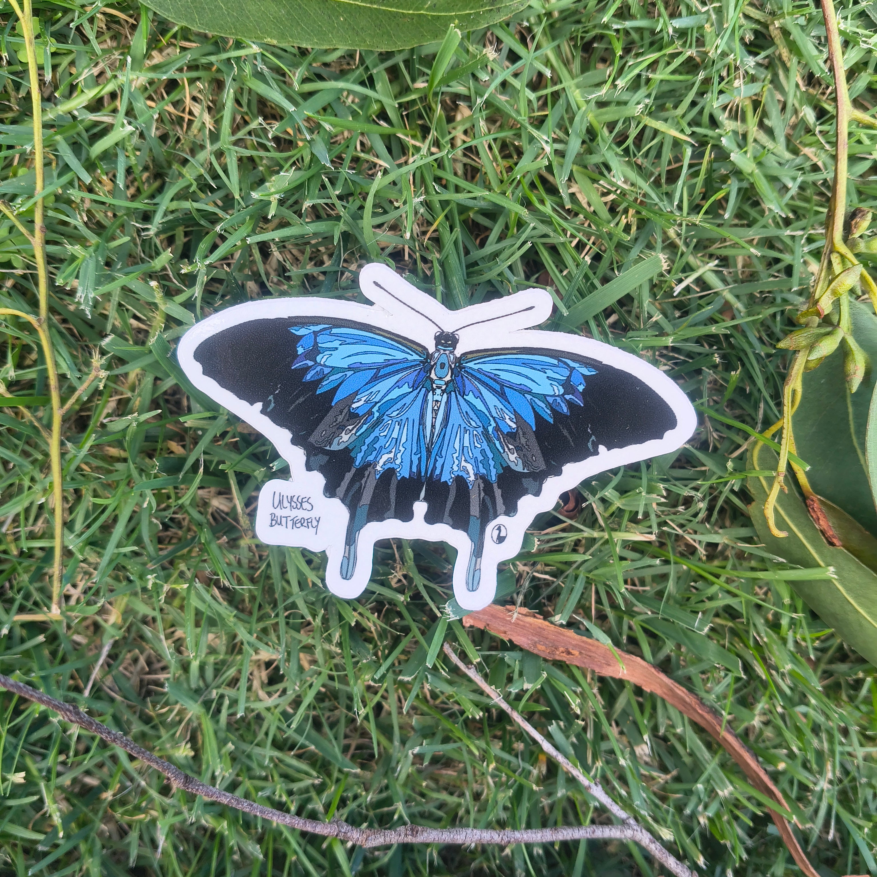 Ulysses Butterfly sticker