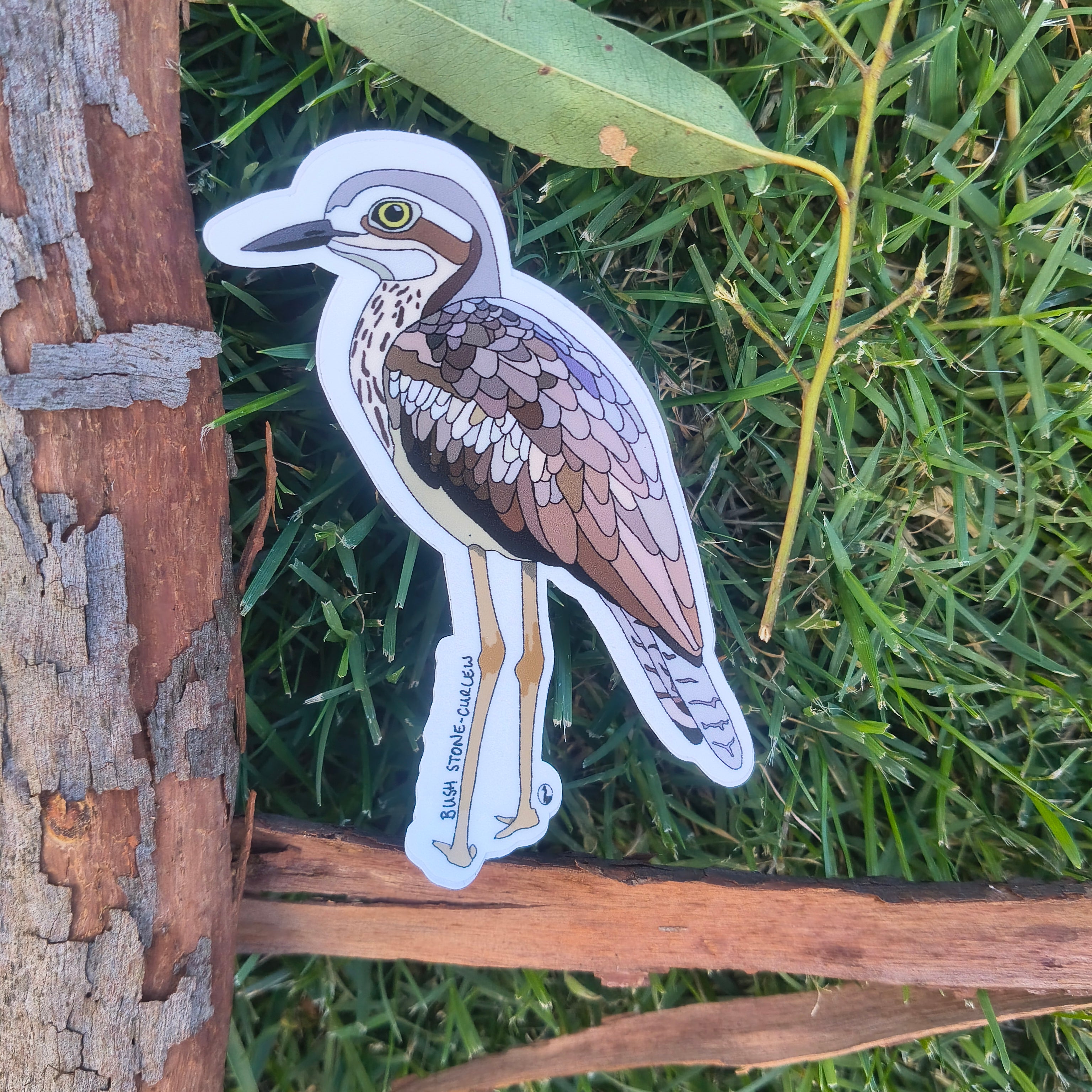 Bush Stone-curlew sticker