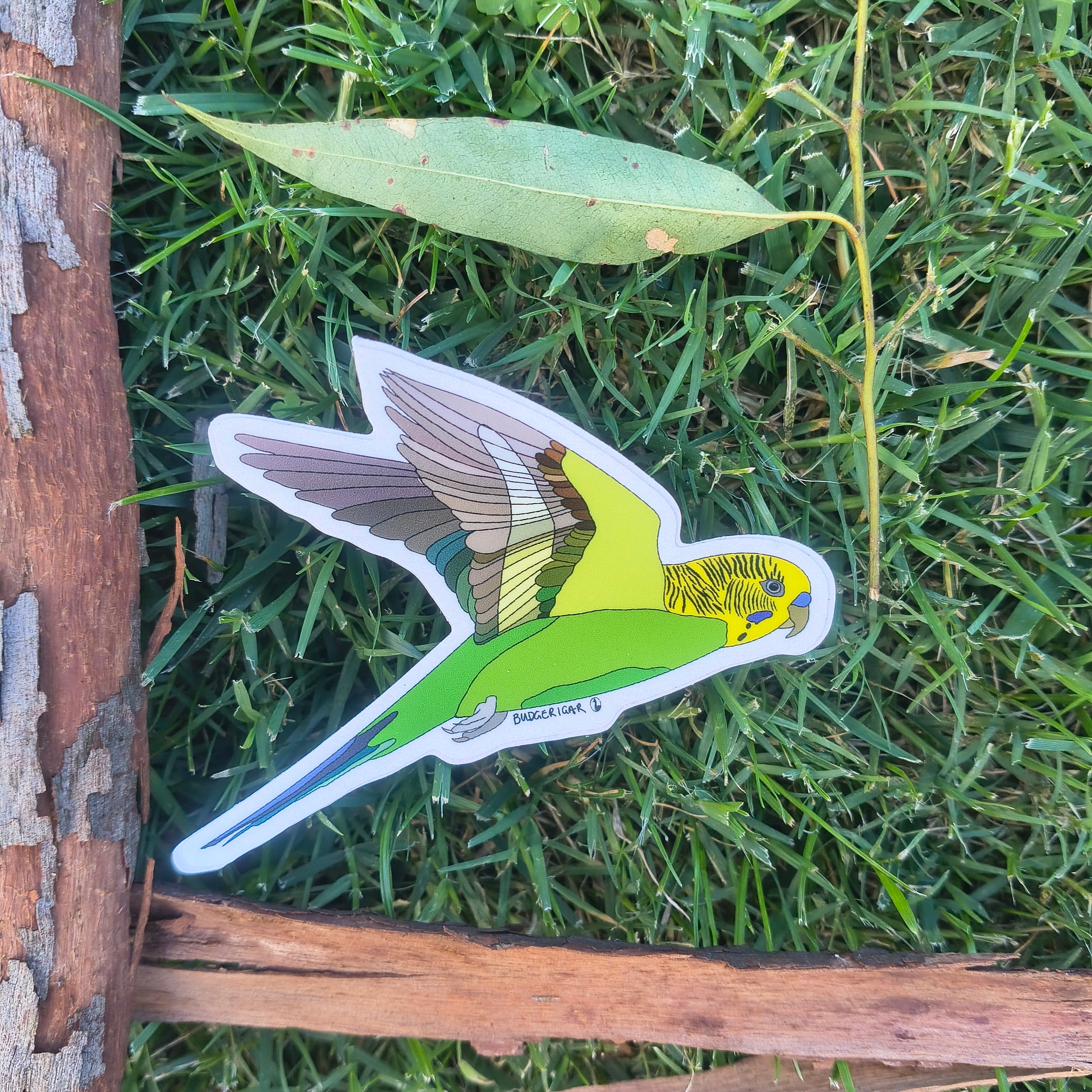 Budgerigar sticker