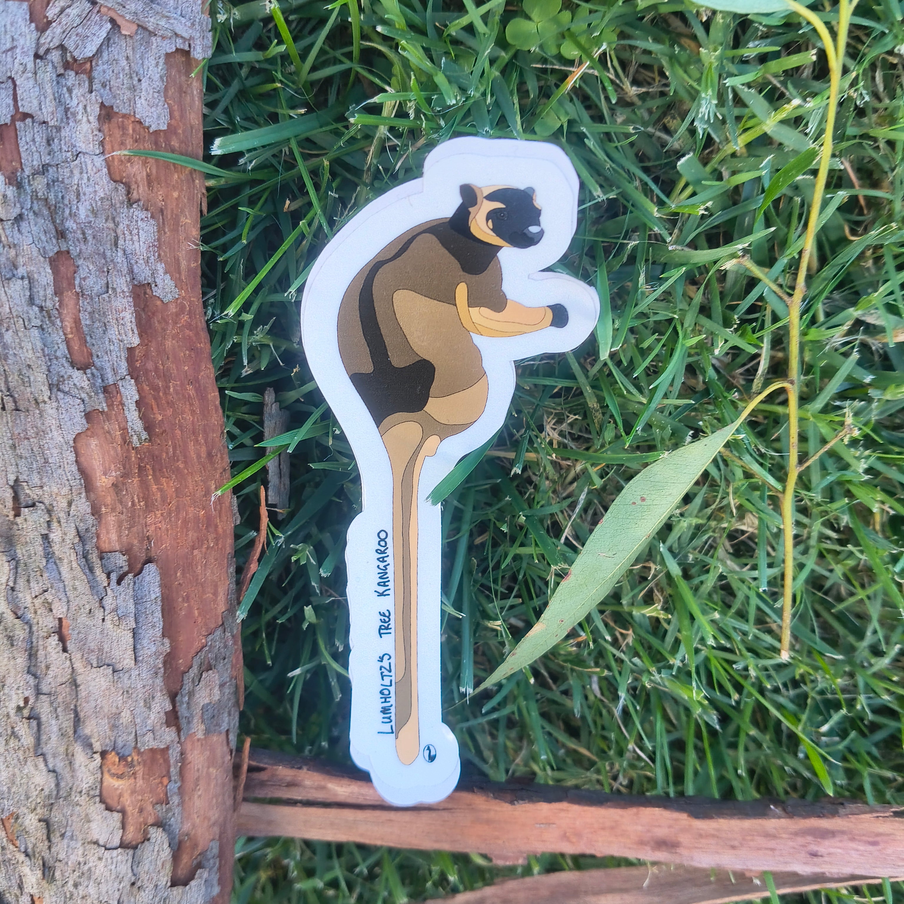 Lumholtz's Tree Kangaroo sticker