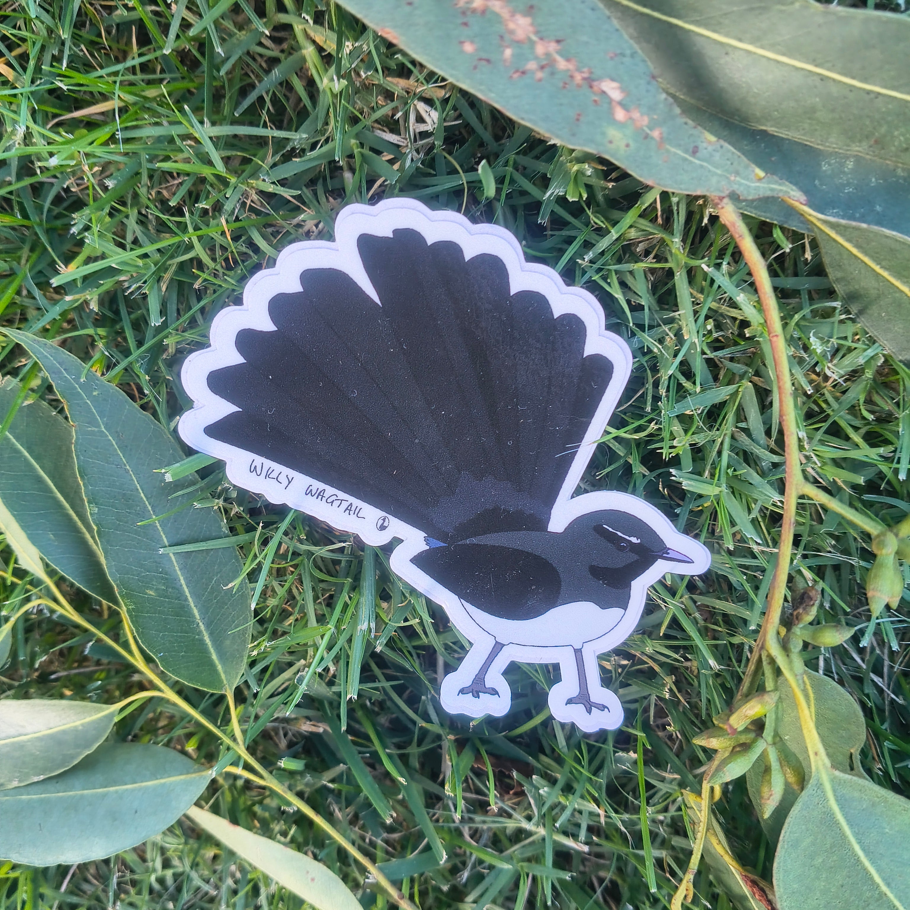 Willy Wagtail sticker