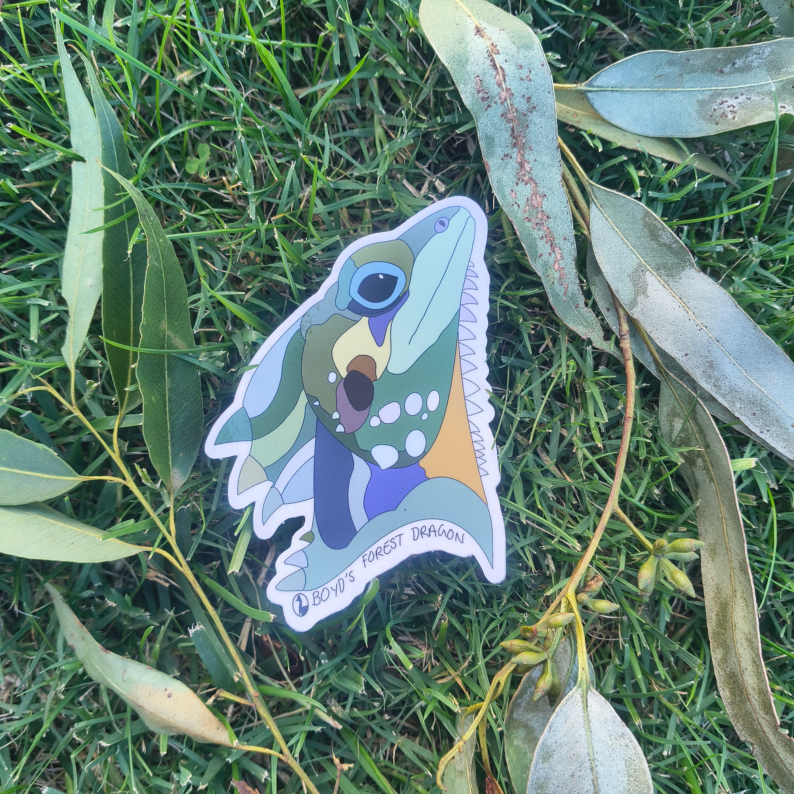 Boyd's Forest Dragon sticker