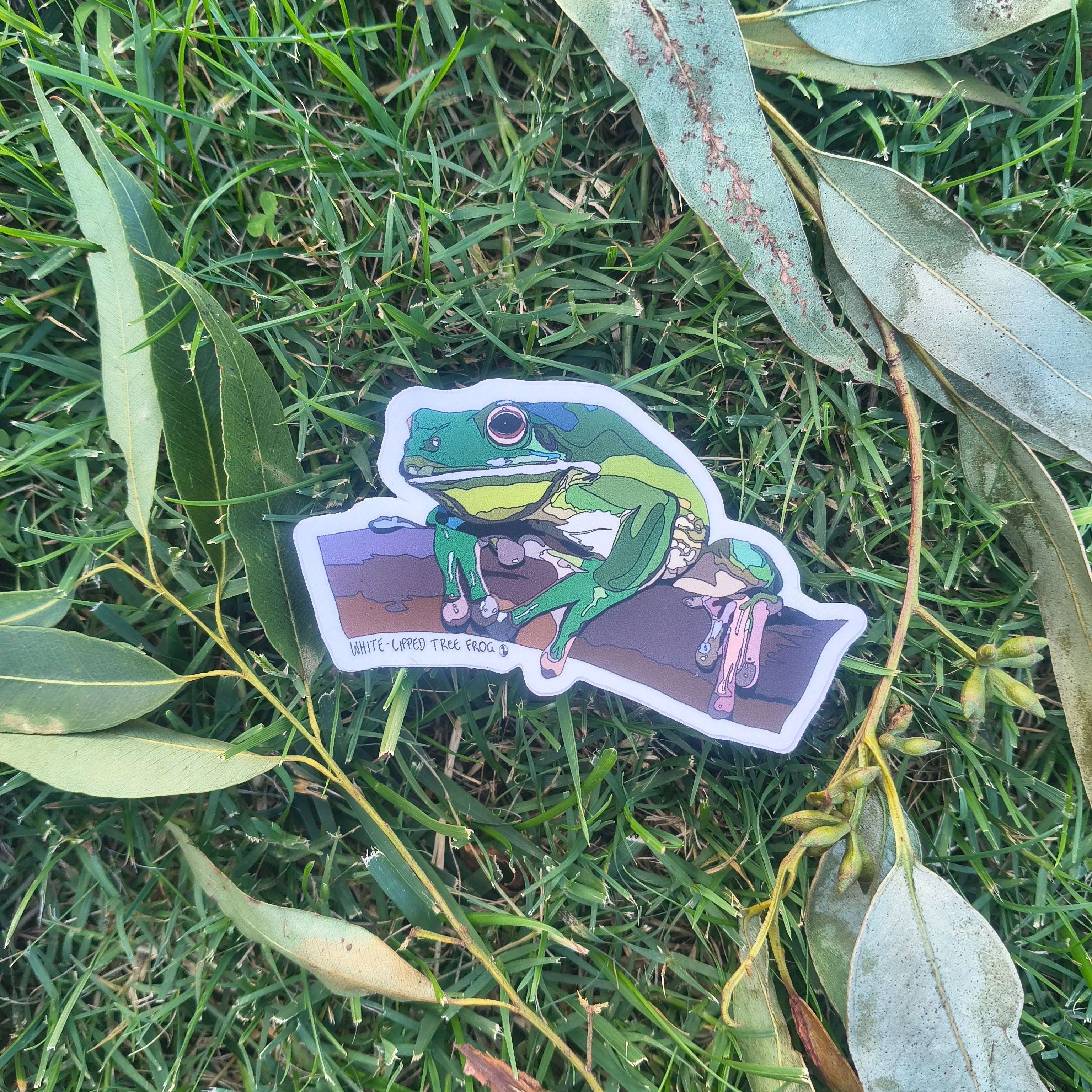 White-lipped Tree Frog sticker