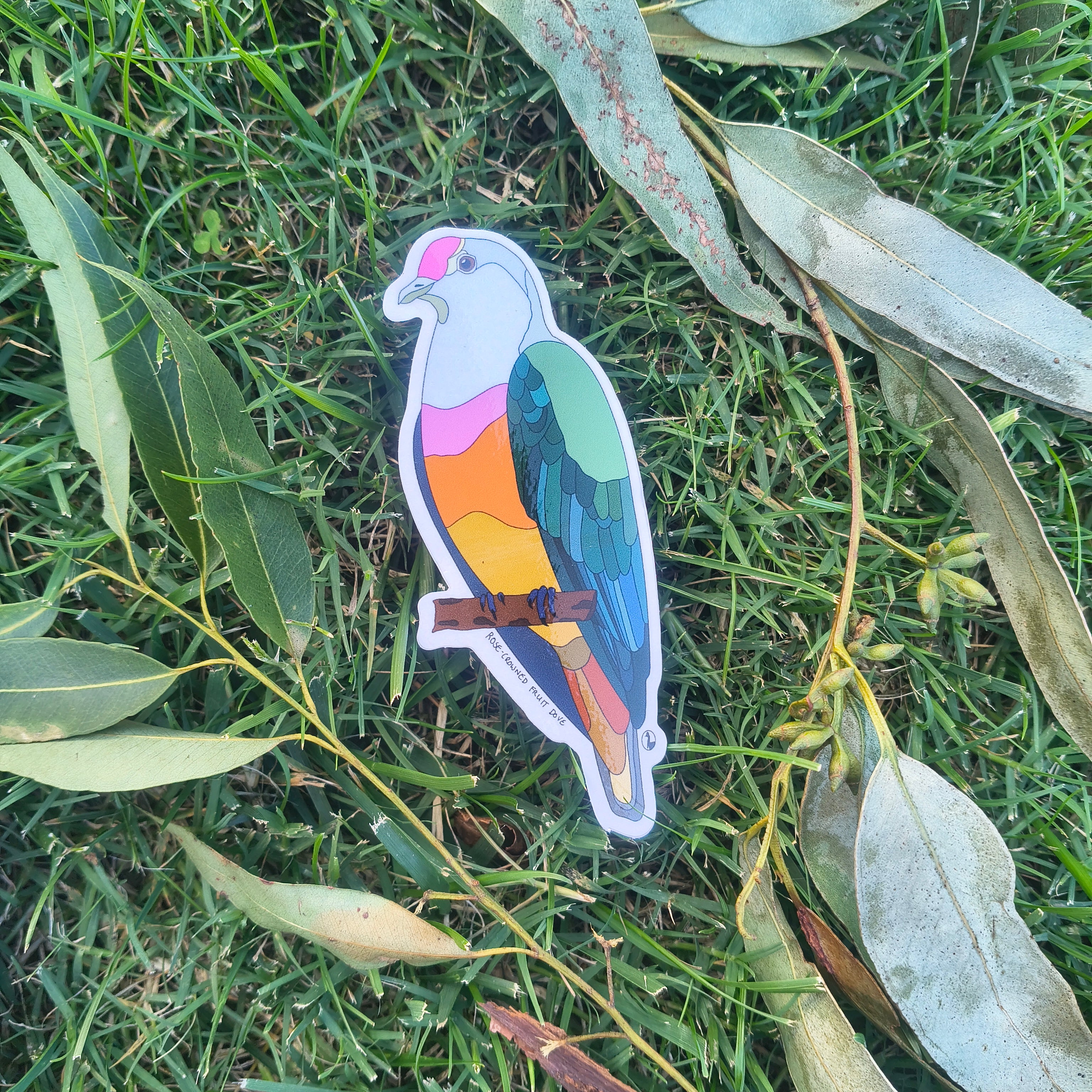 Rose-crowned Fruit Dove