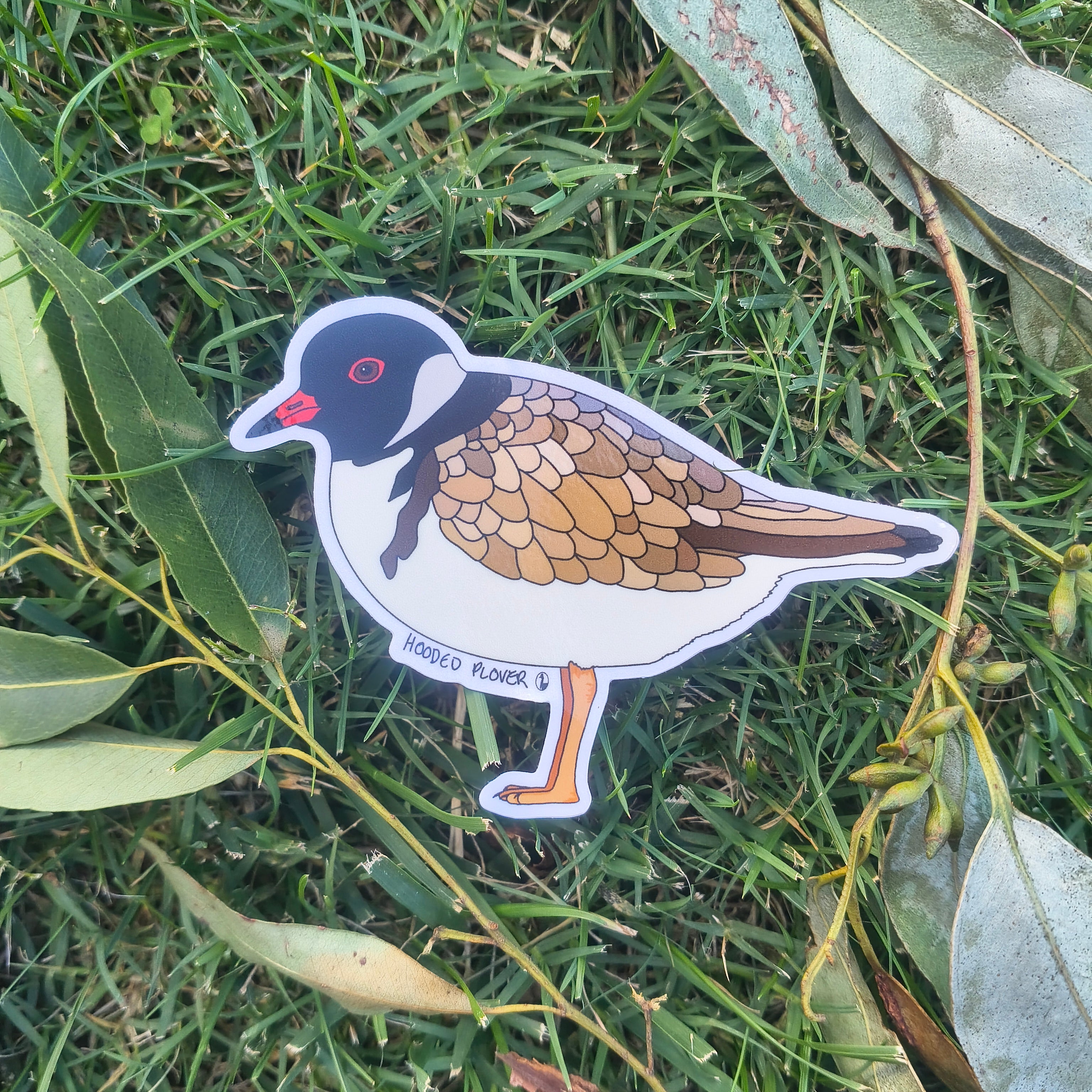 Hooded Plover sticker