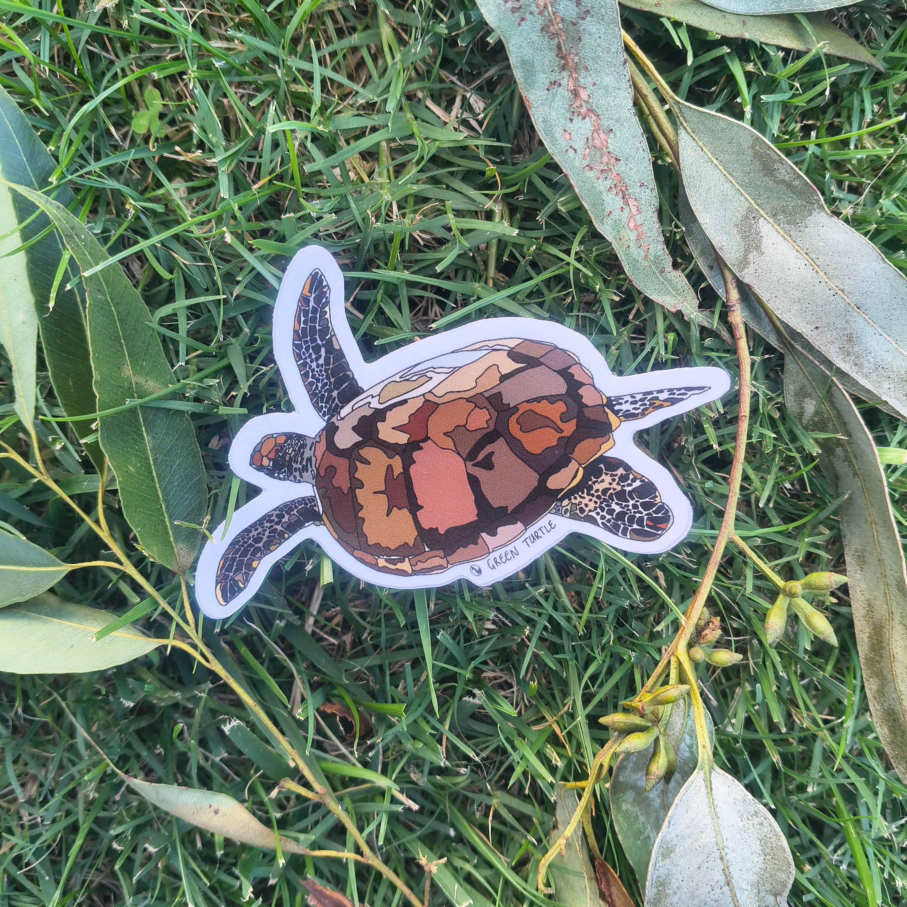 Green Turtle sticker