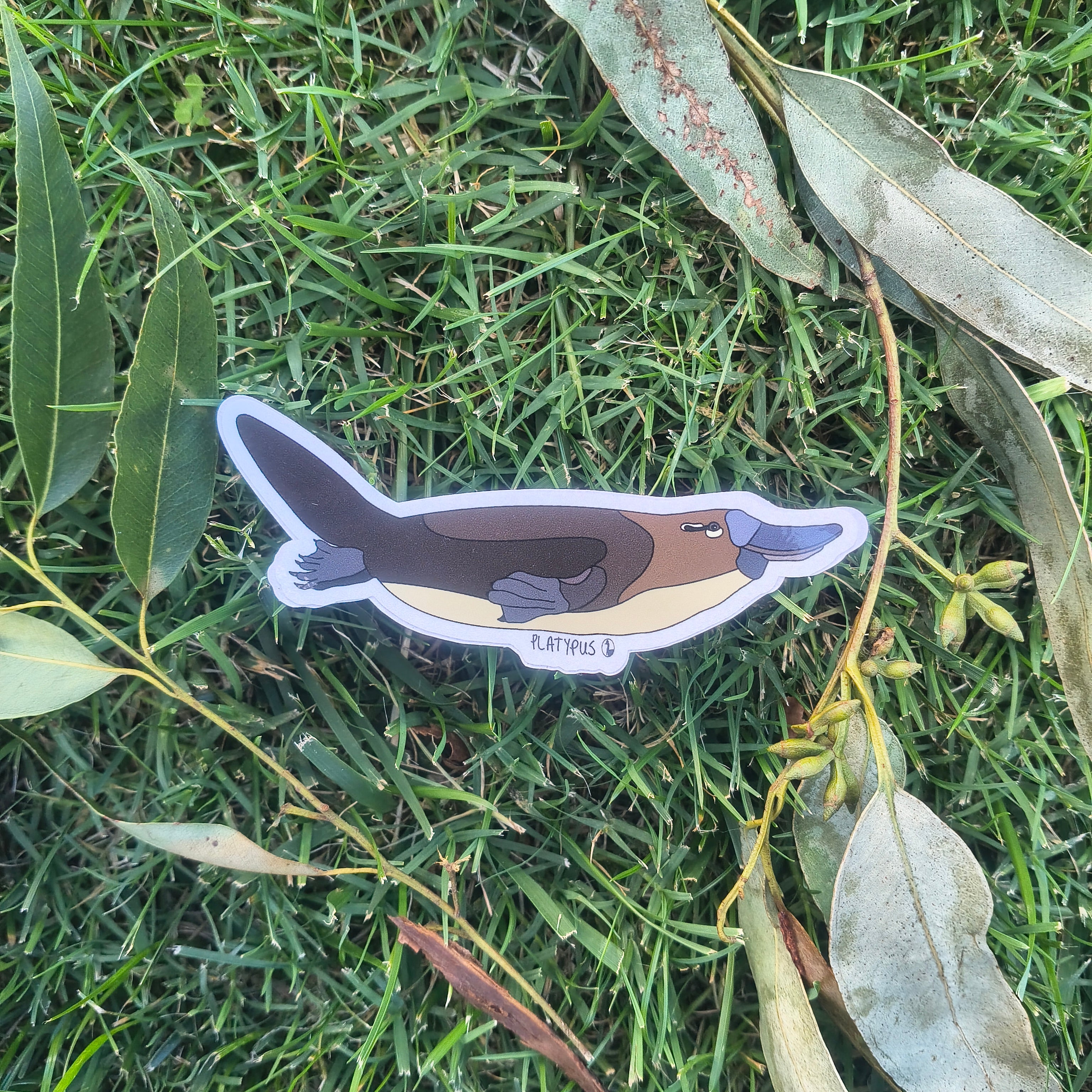 Platypus sticker
