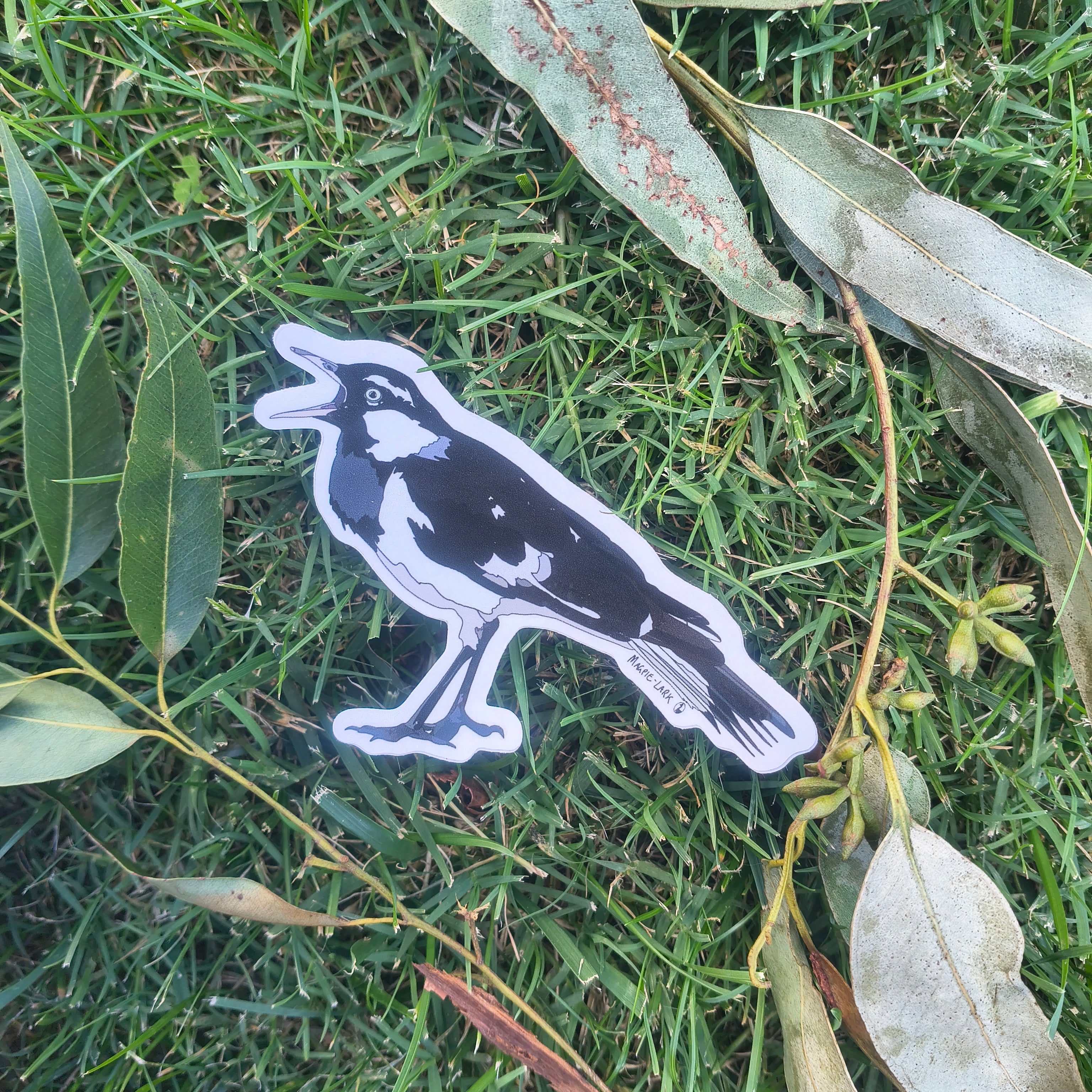 Magpie-lark sticker