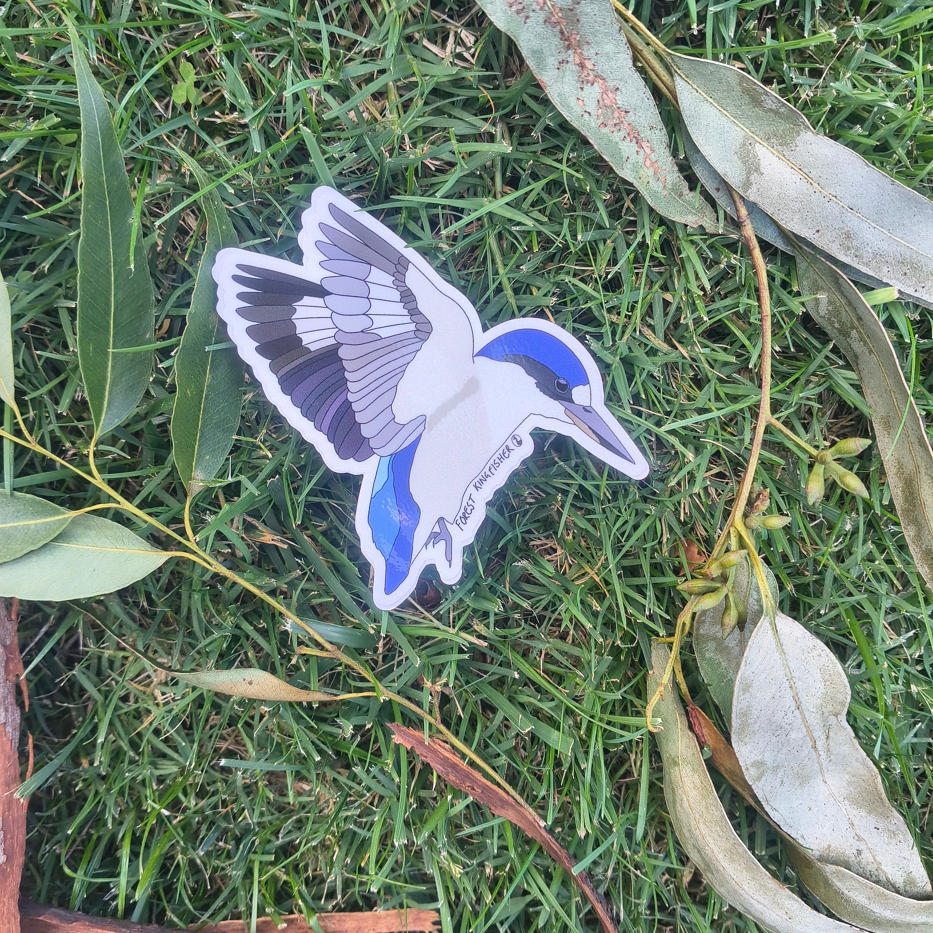 Forest Kingfisher sticker