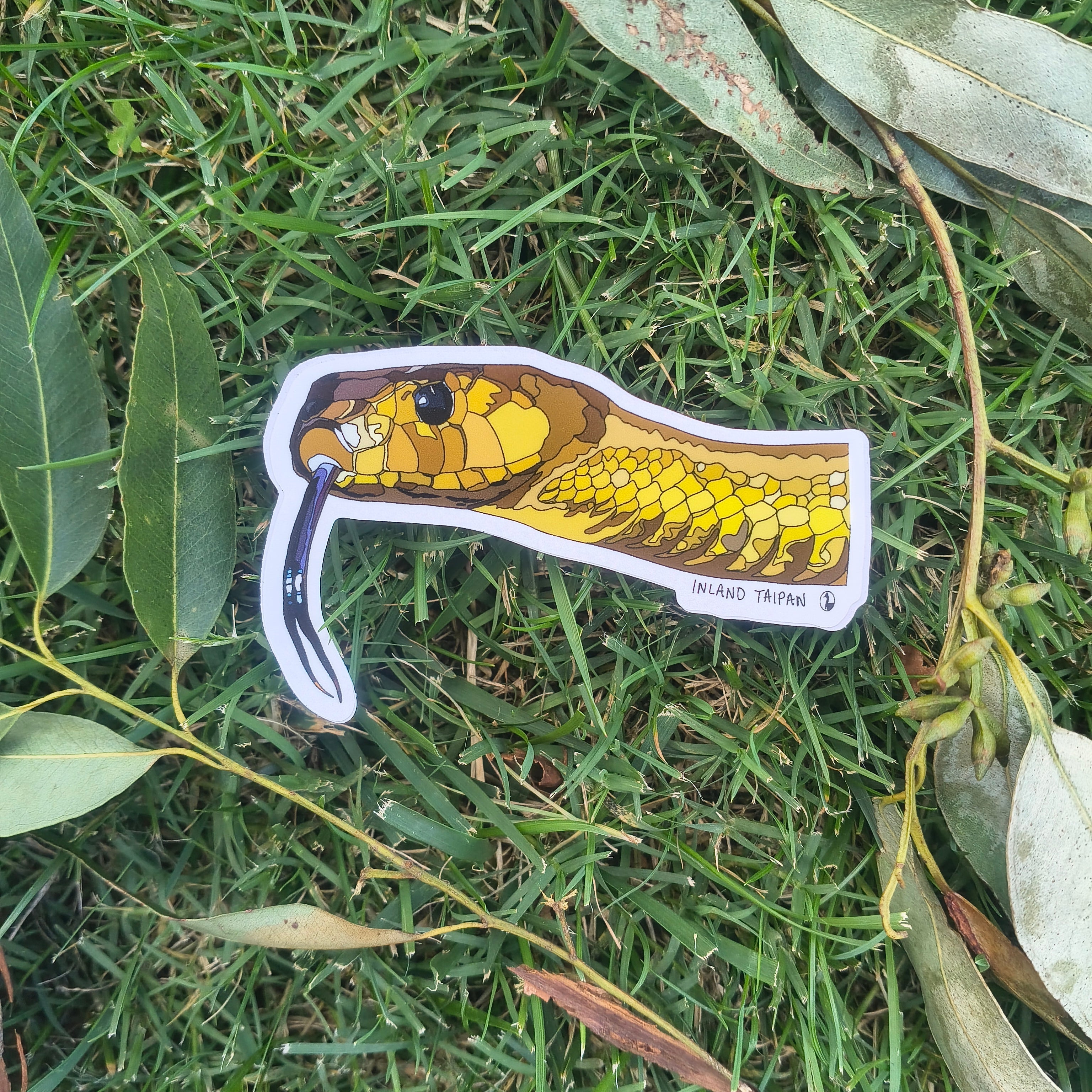 Snake-shaped sticker on grass