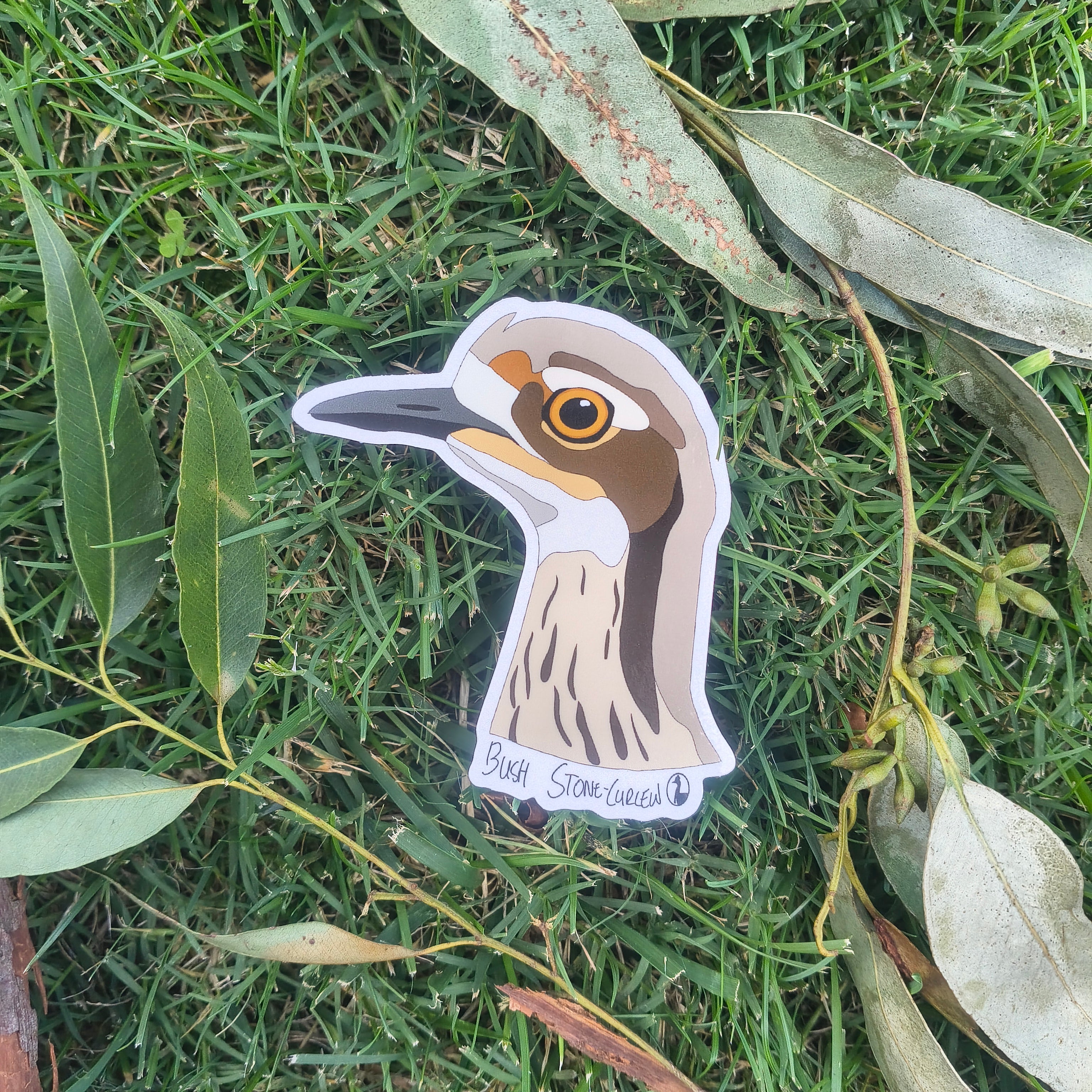 Bush Stone-curlew Head sticker