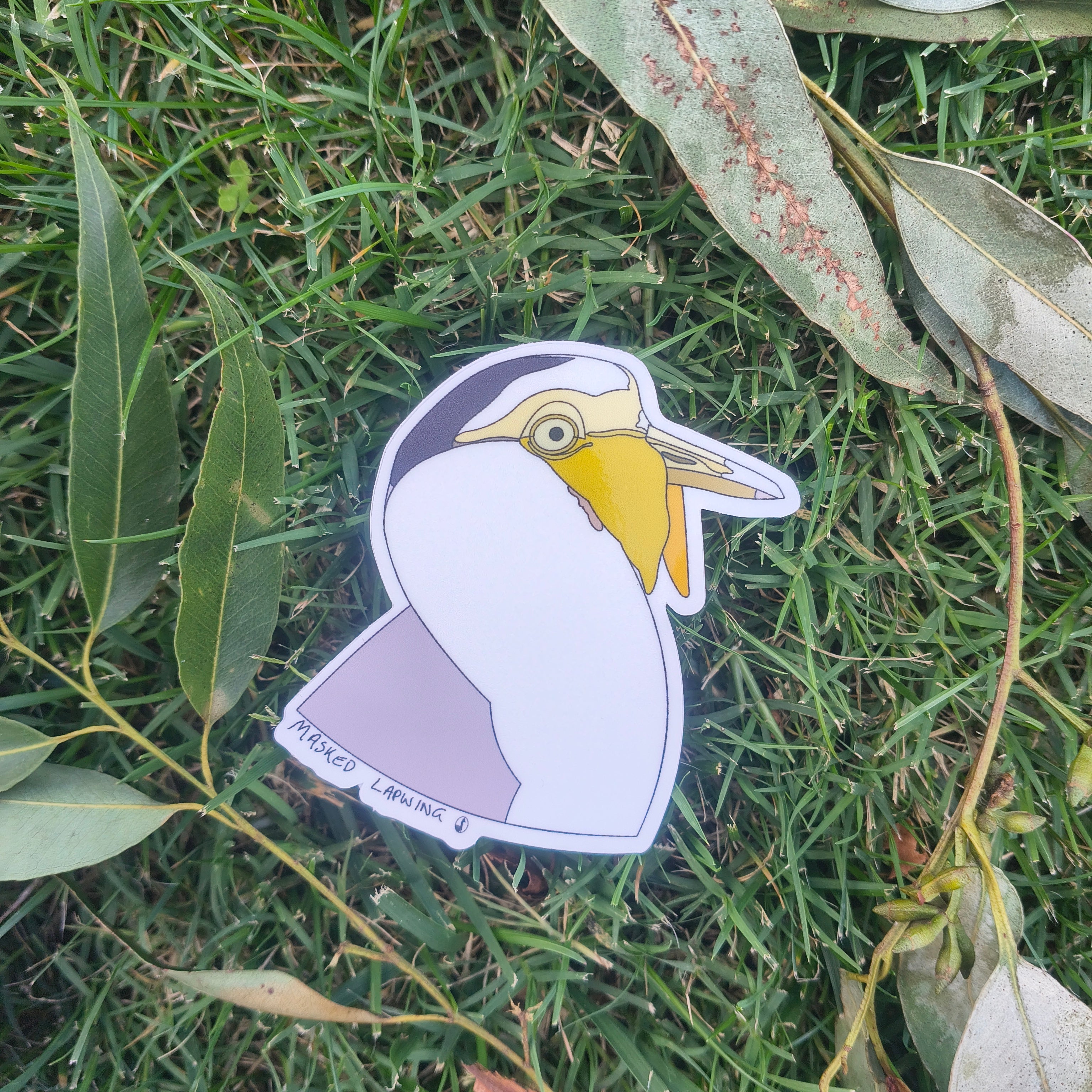 Masked Lapwing sticker