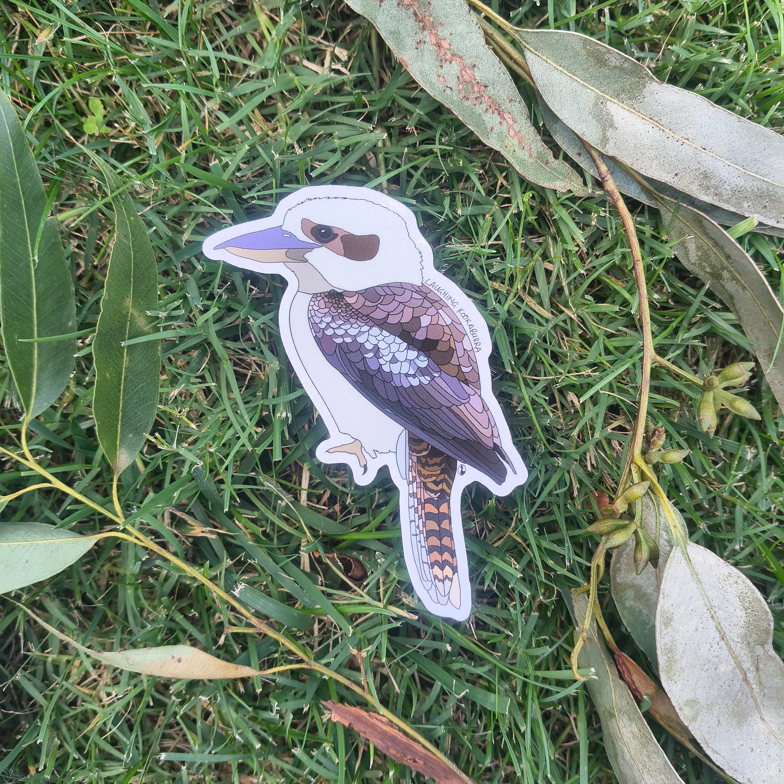 Laughing Kookaburra sticker
