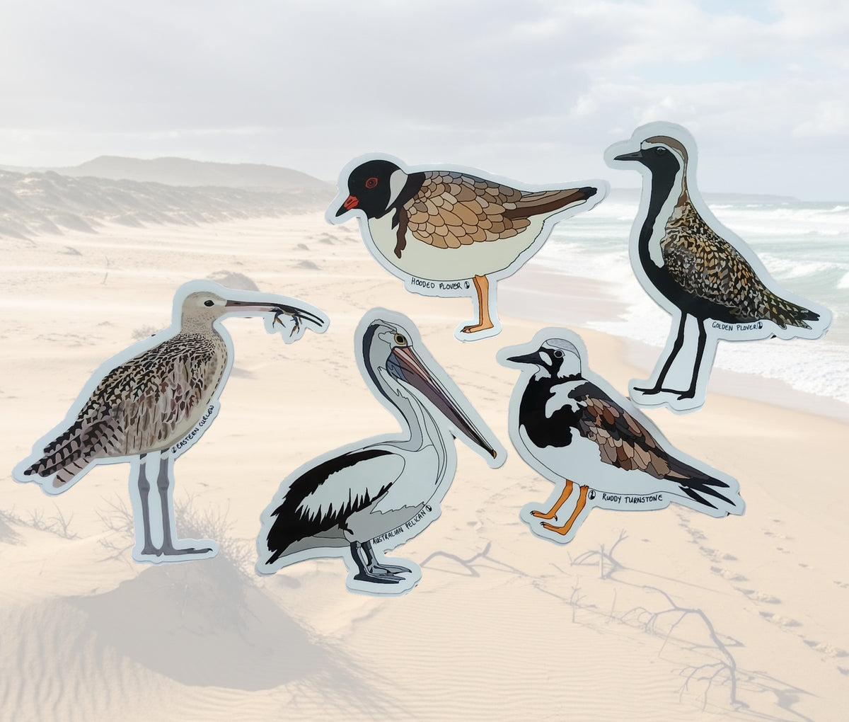 Sea and shorebird sticker pack – Wild Faces