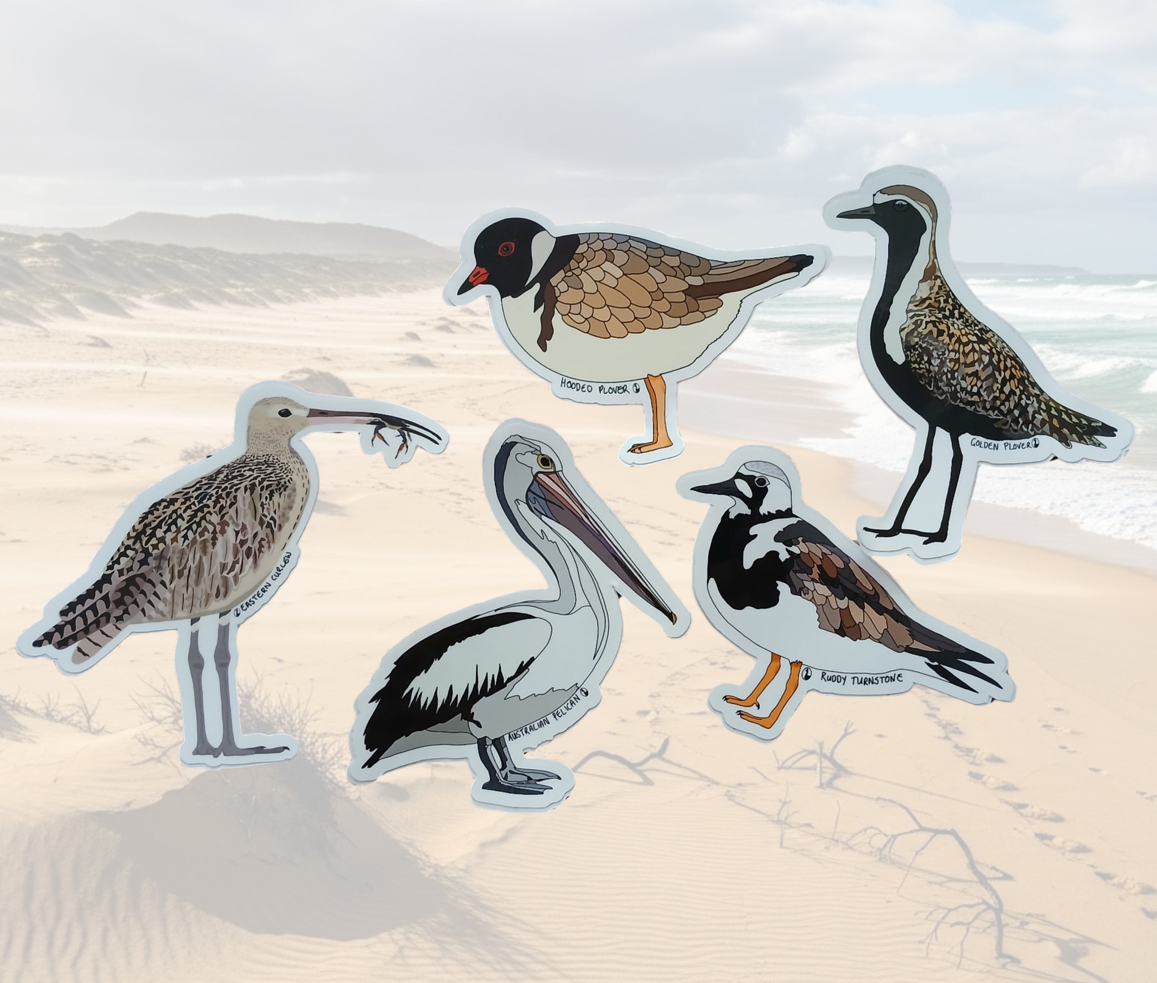 Sea and shorebird sticker pack